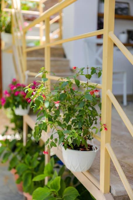 Cereni Guesthouse