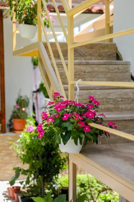 Cereni Guesthouse