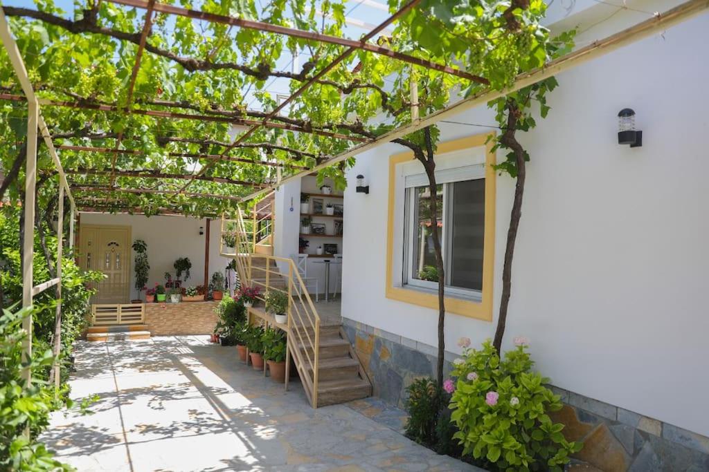 Cereni Guesthouse