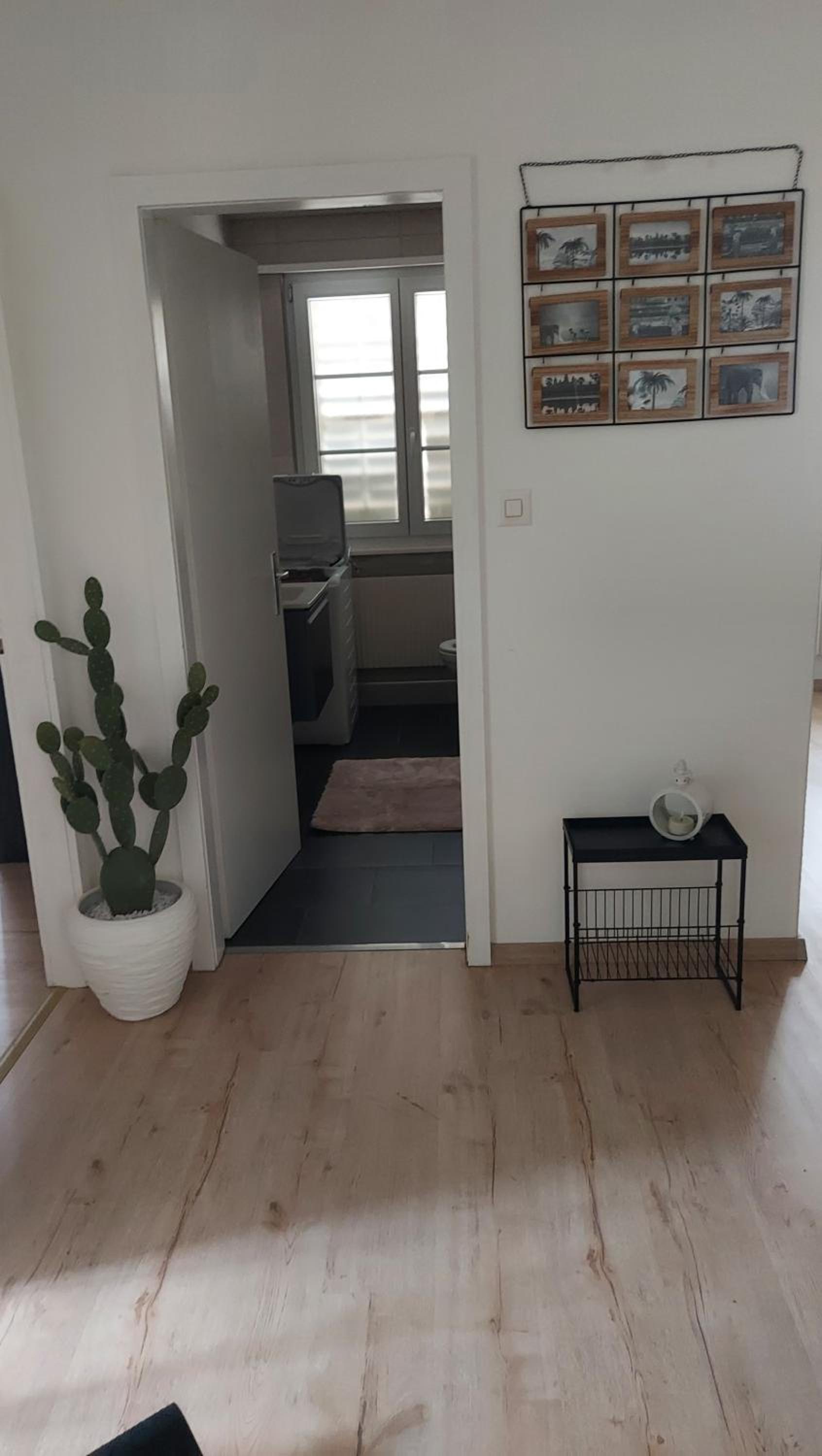 Appartement meublé
