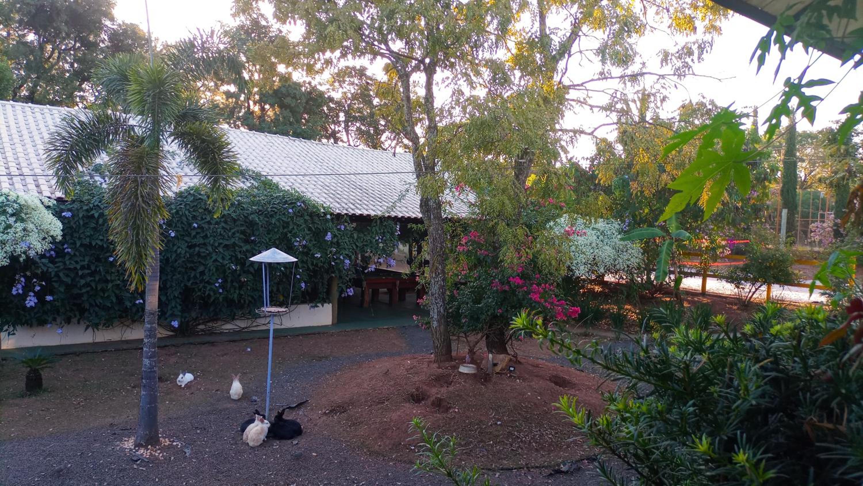 Biomas Hotel