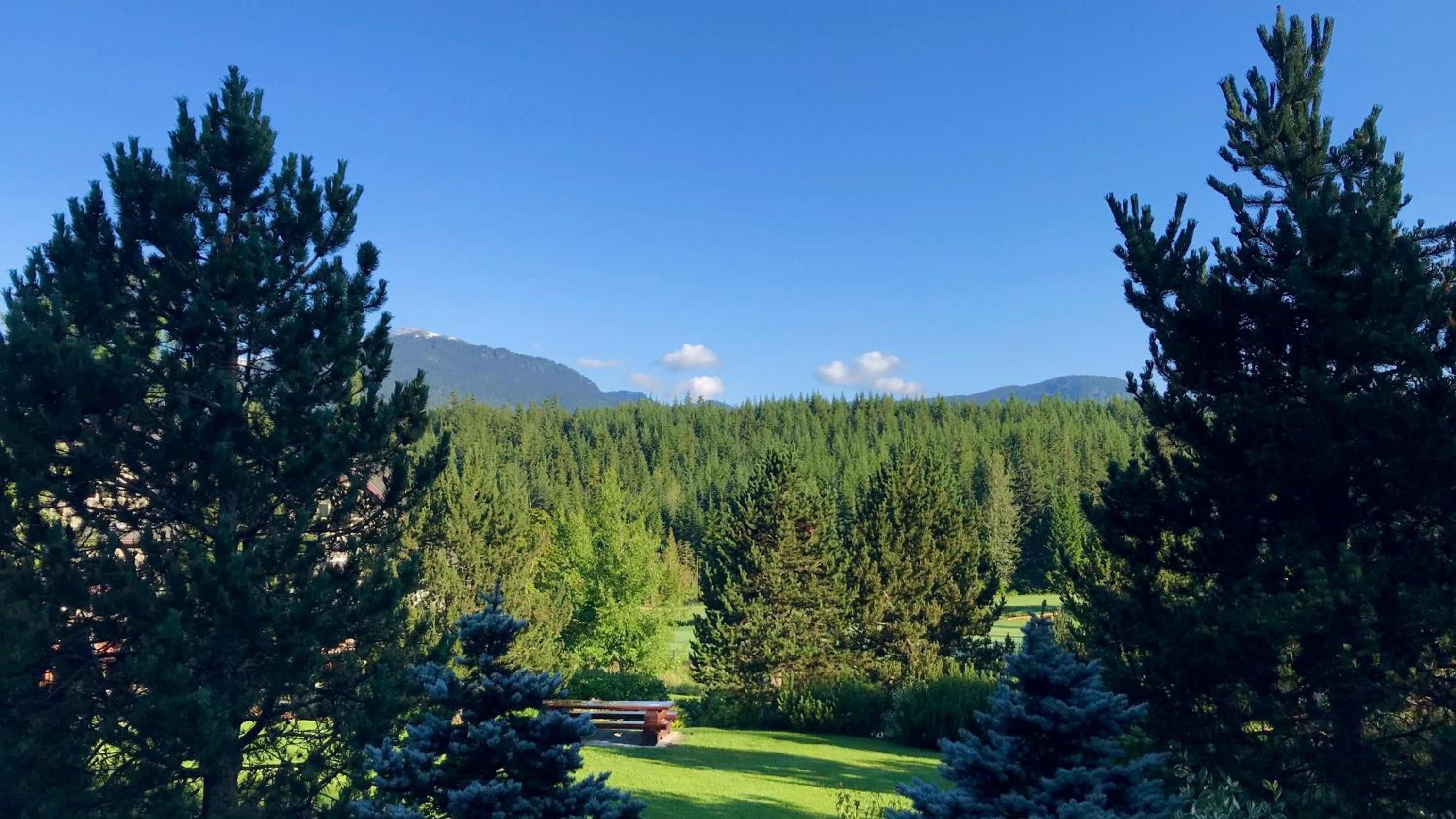 Blackcomb Greens 31 | Cozy & Bright Unit, Shuttle to Gondola, Shared Hot tub