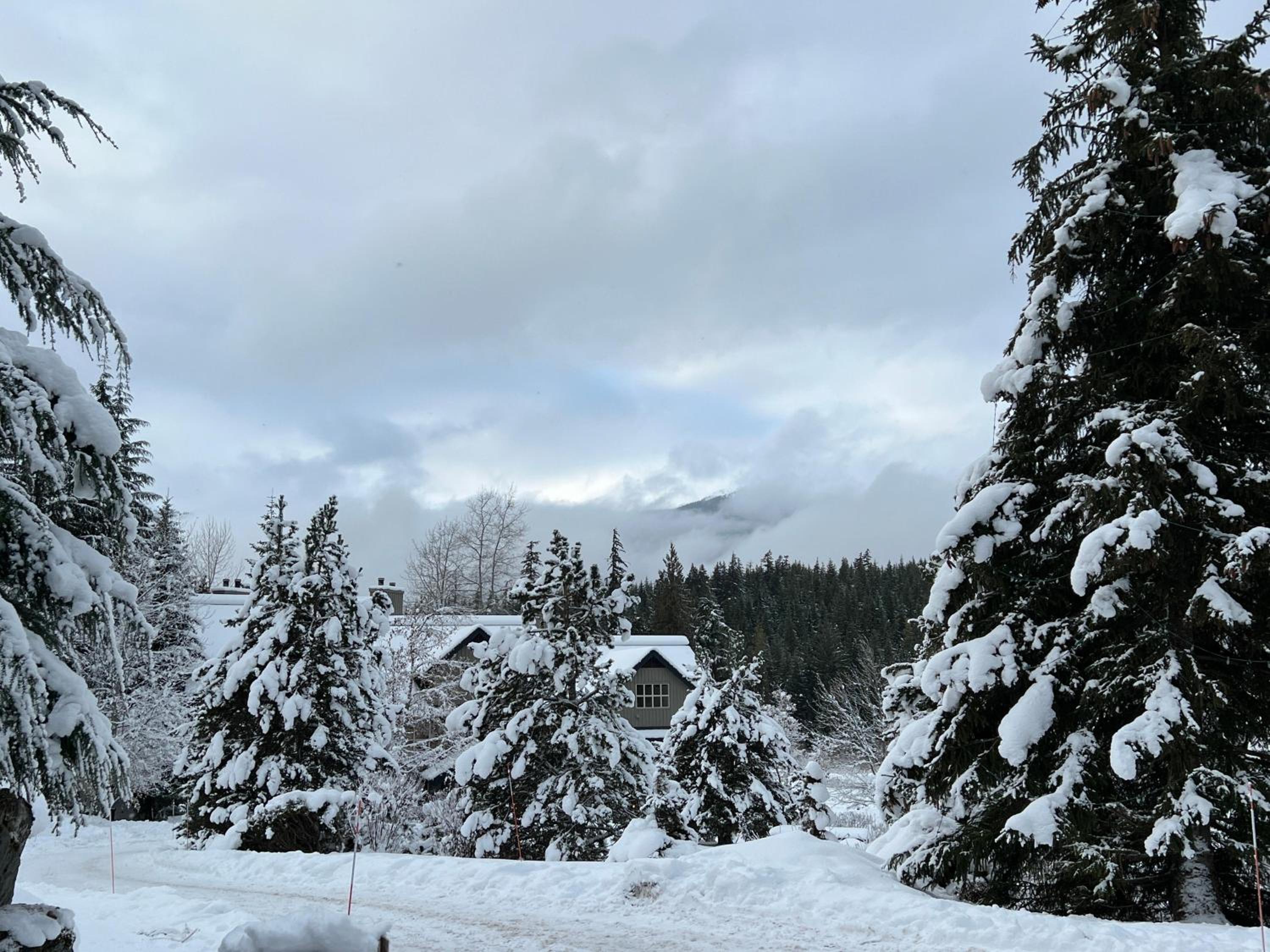 Blackcomb Greens 31 | Cozy & Bright Unit, Shuttle to Gondola, Shared Hot tub