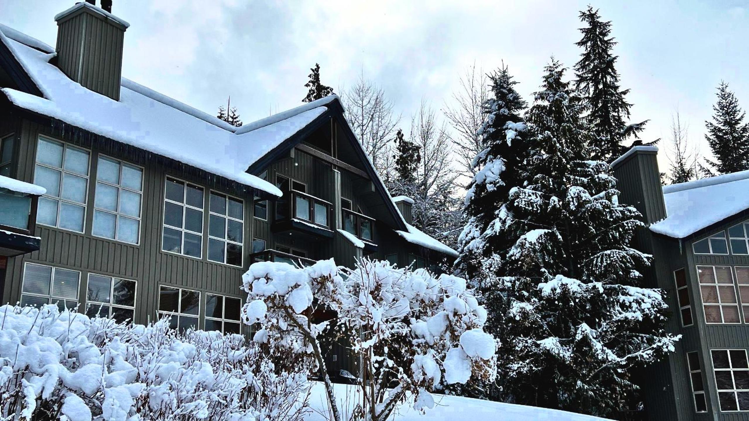 Blackcomb Greens 31 | Cozy & Bright Unit, Shuttle to Gondola, Shared Hot tub