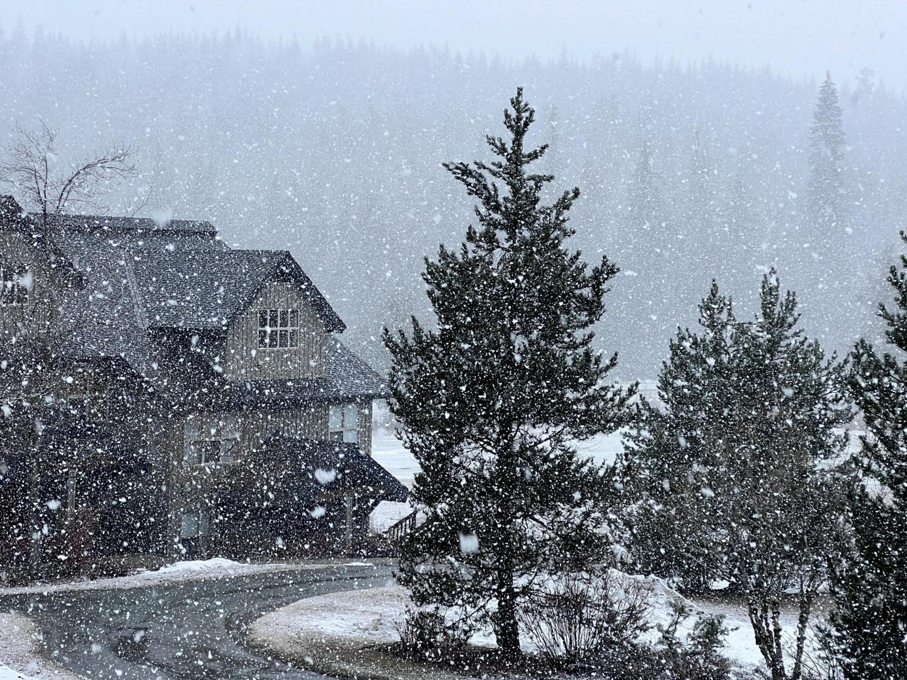 Blackcomb Greens 31 | Cozy & Bright Unit, Shuttle to Gondola, Shared Hot tub