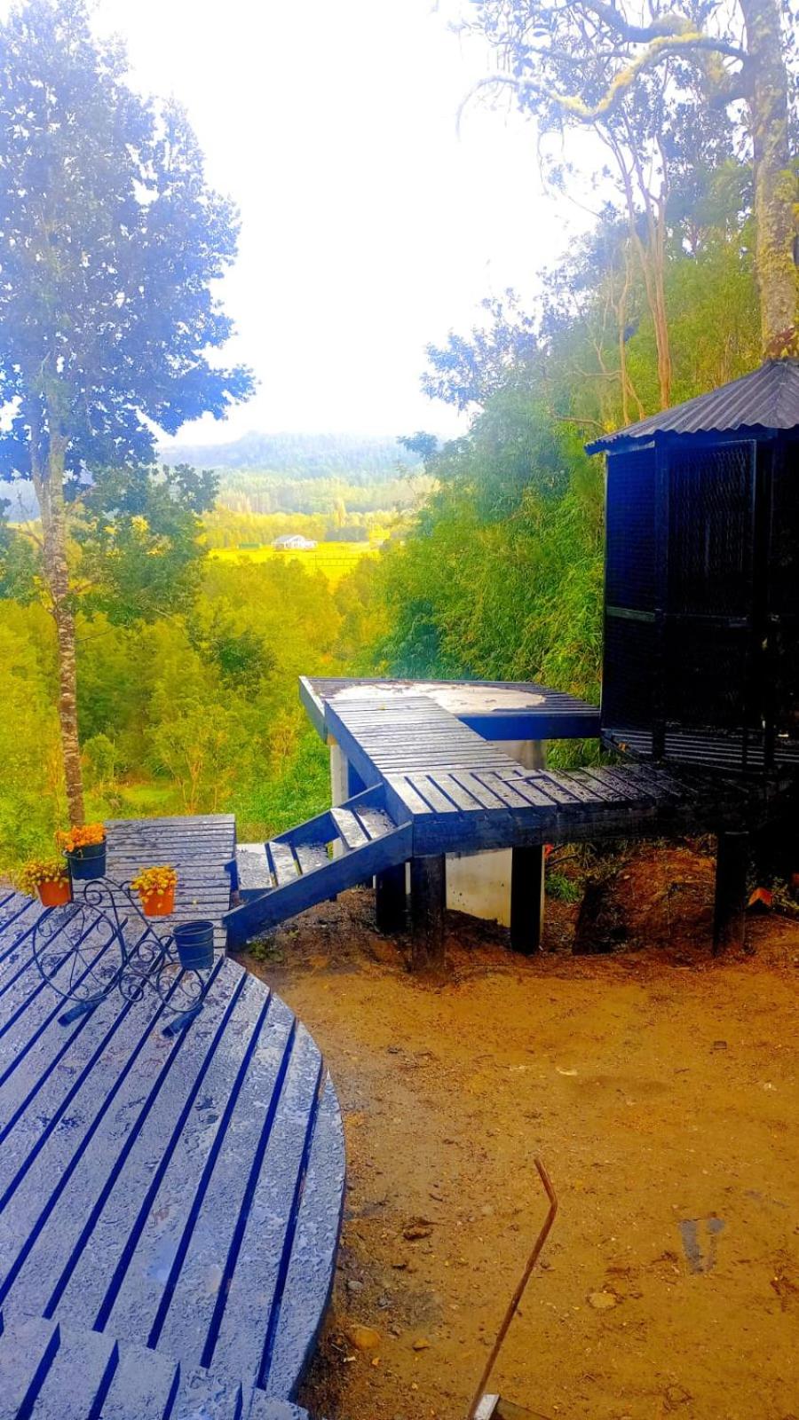 Yurta experiencias
