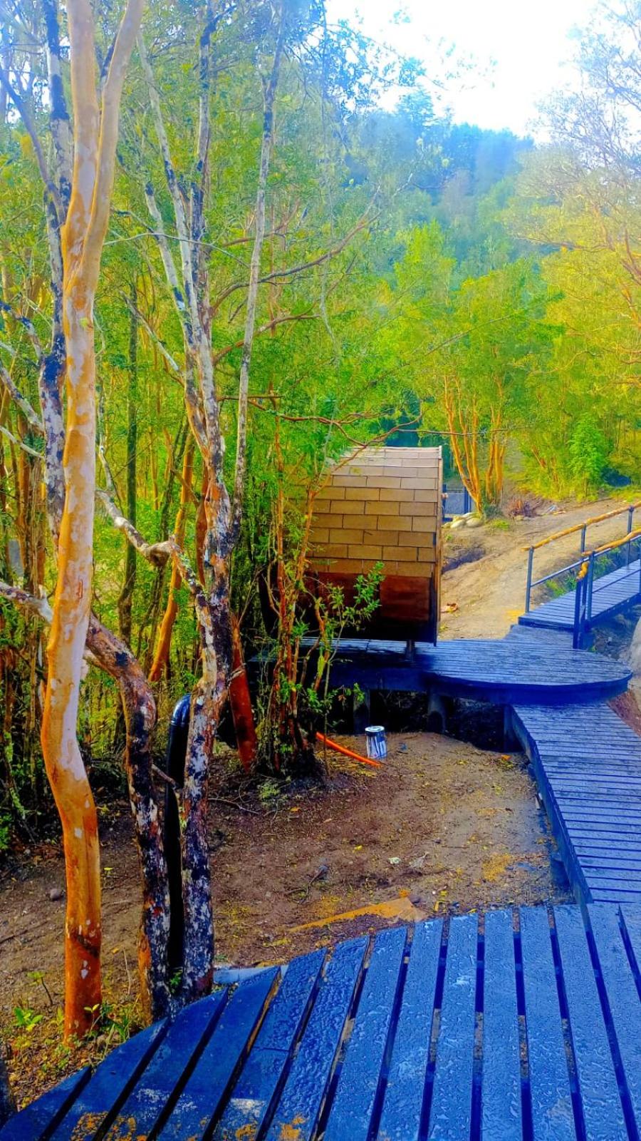 Yurta experiencias