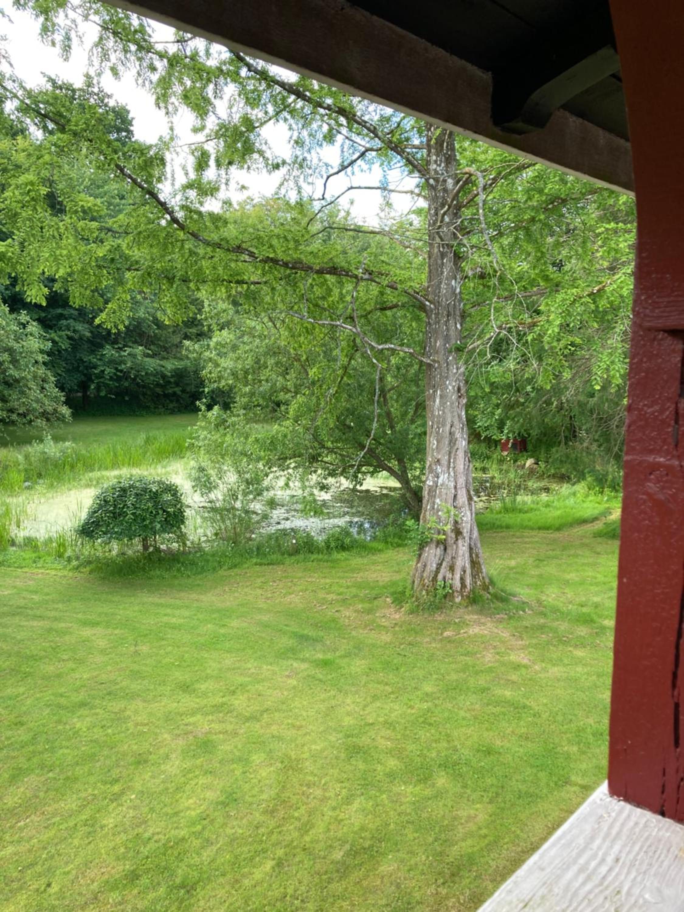 Skovhuset søværelset