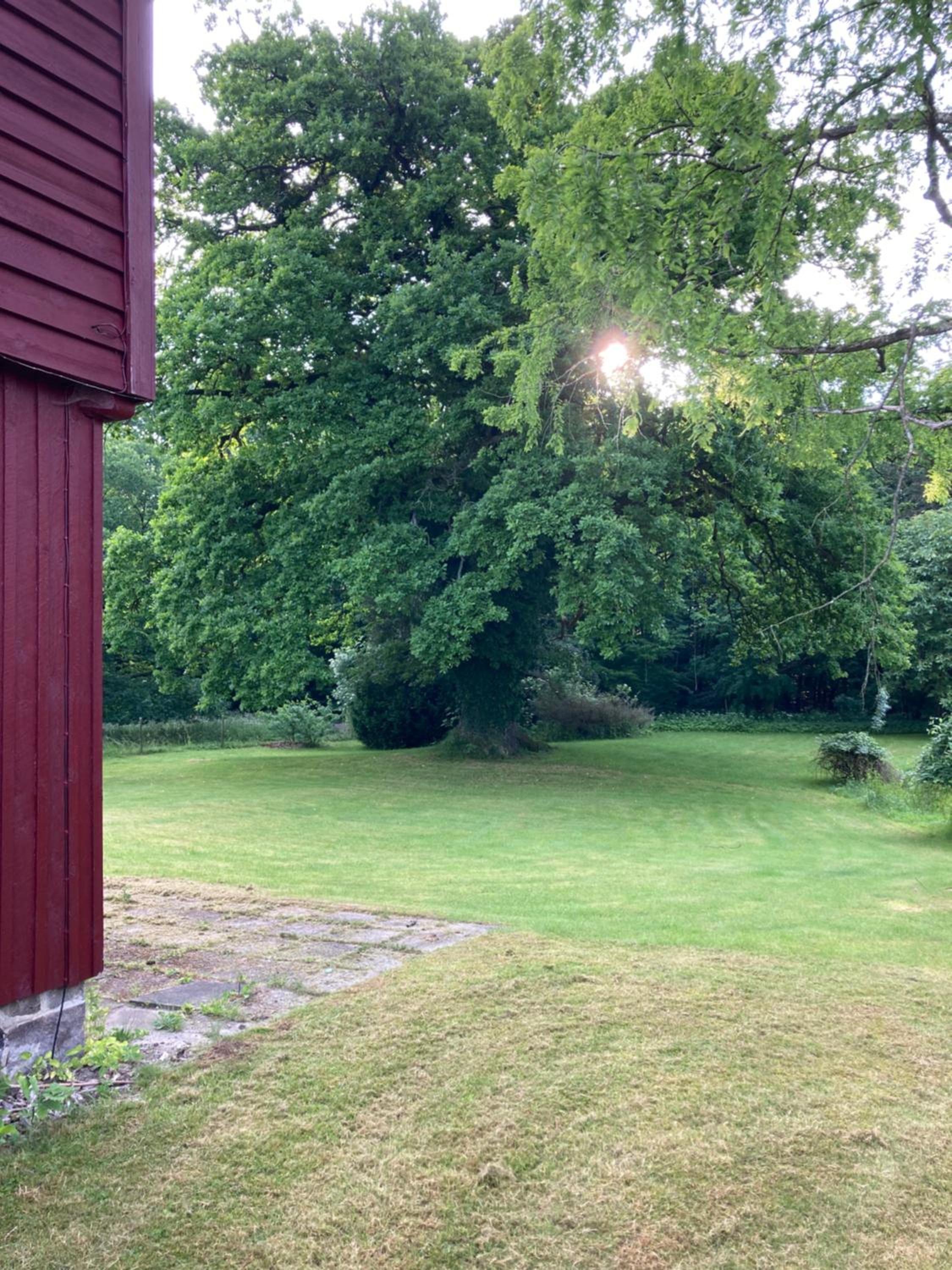 Skovhuset søværelset