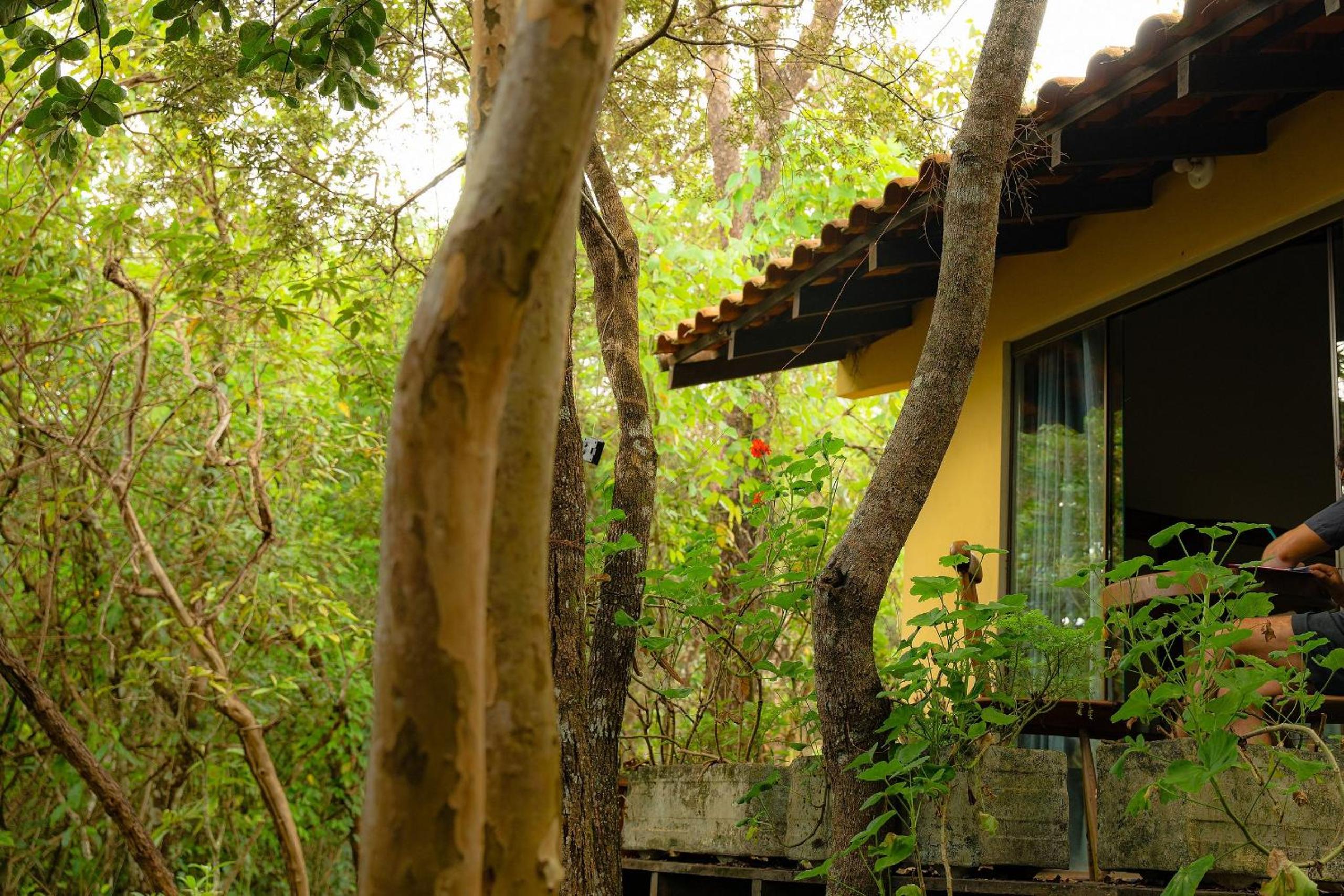 Hospedagem Chácara Encantada - Holiday Homes in the heart of Chapada dos Veadeiros