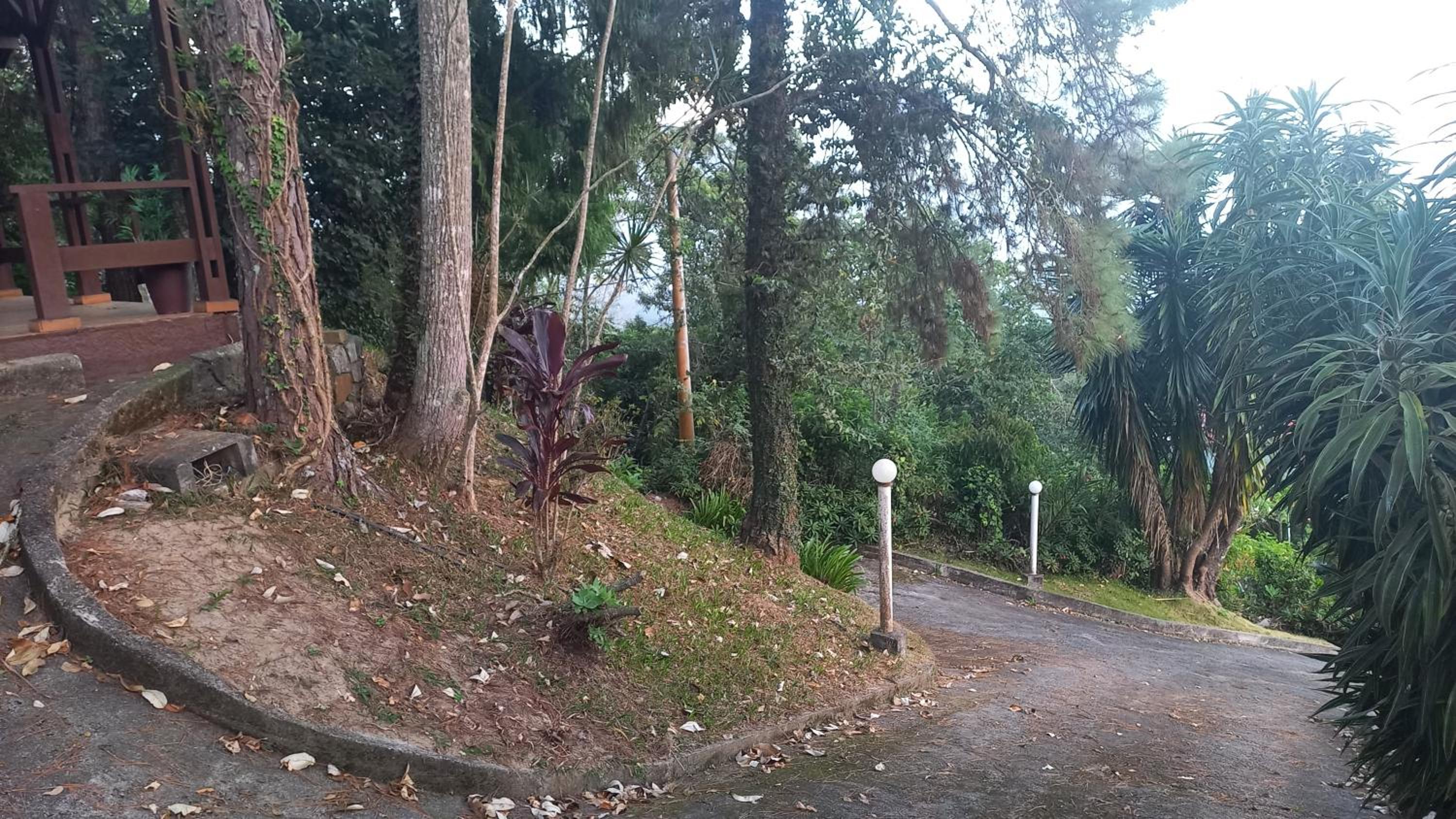SÍTIO ALTO DA COLINA