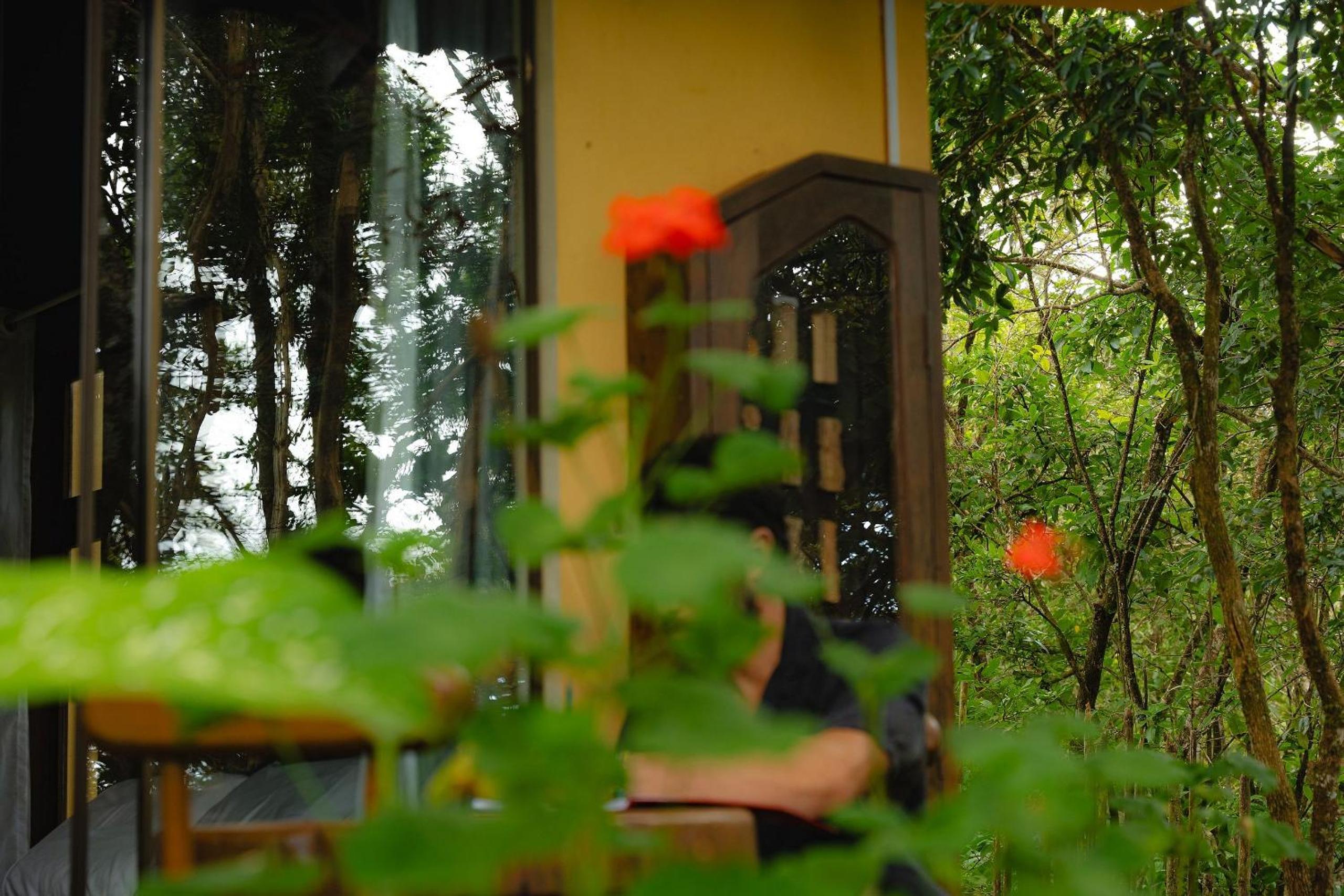 Hospedagem Chácara Encantada - Holiday Homes in the heart of Chapada dos Veadeiros