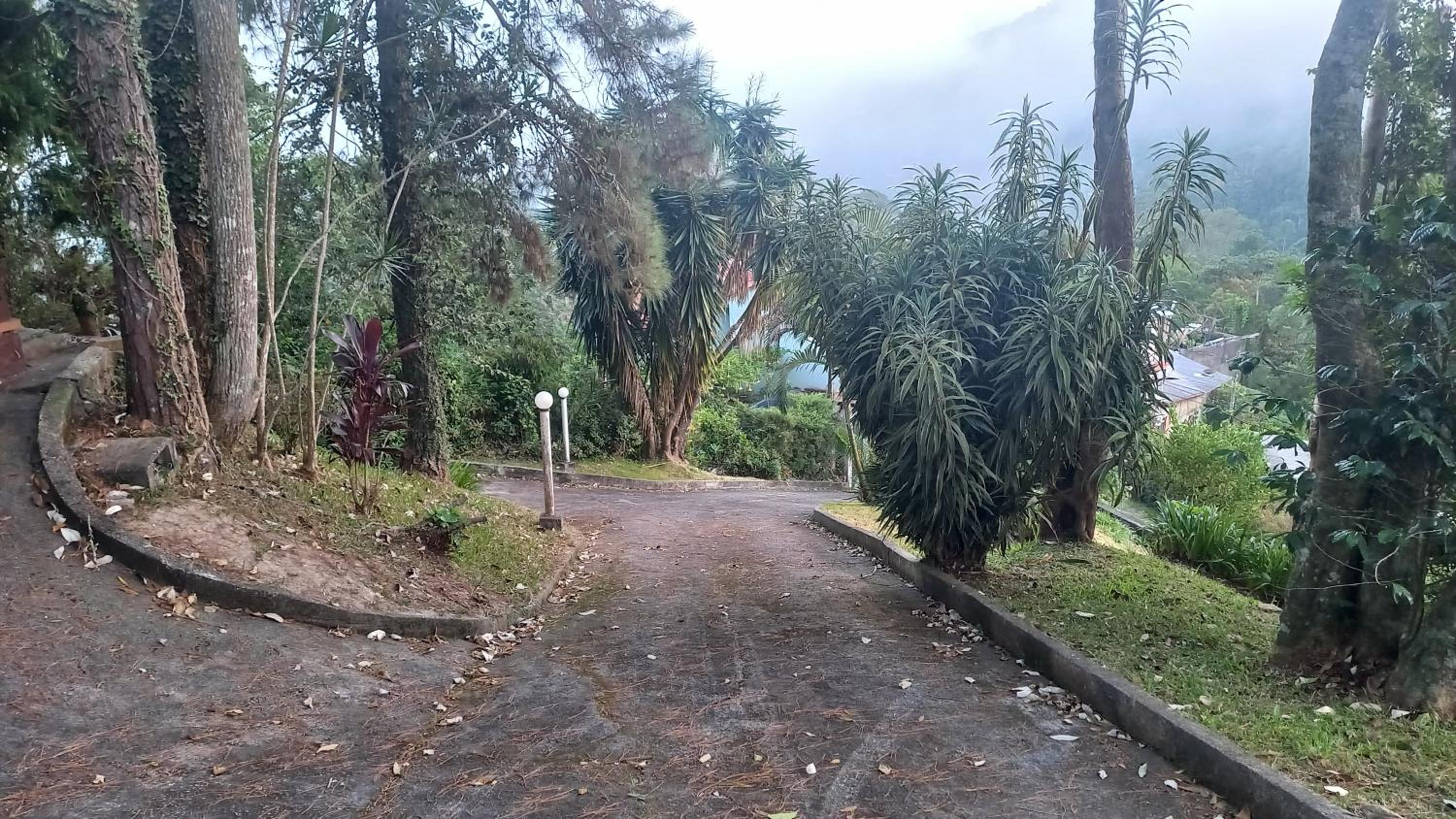 SÍTIO ALTO DA COLINA
