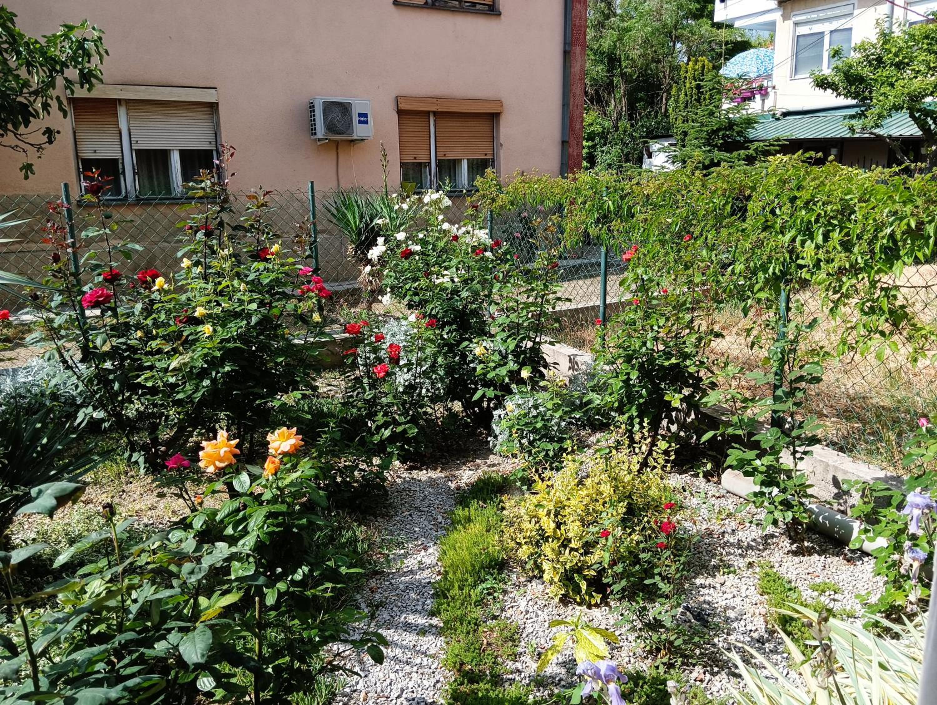 Photo 13