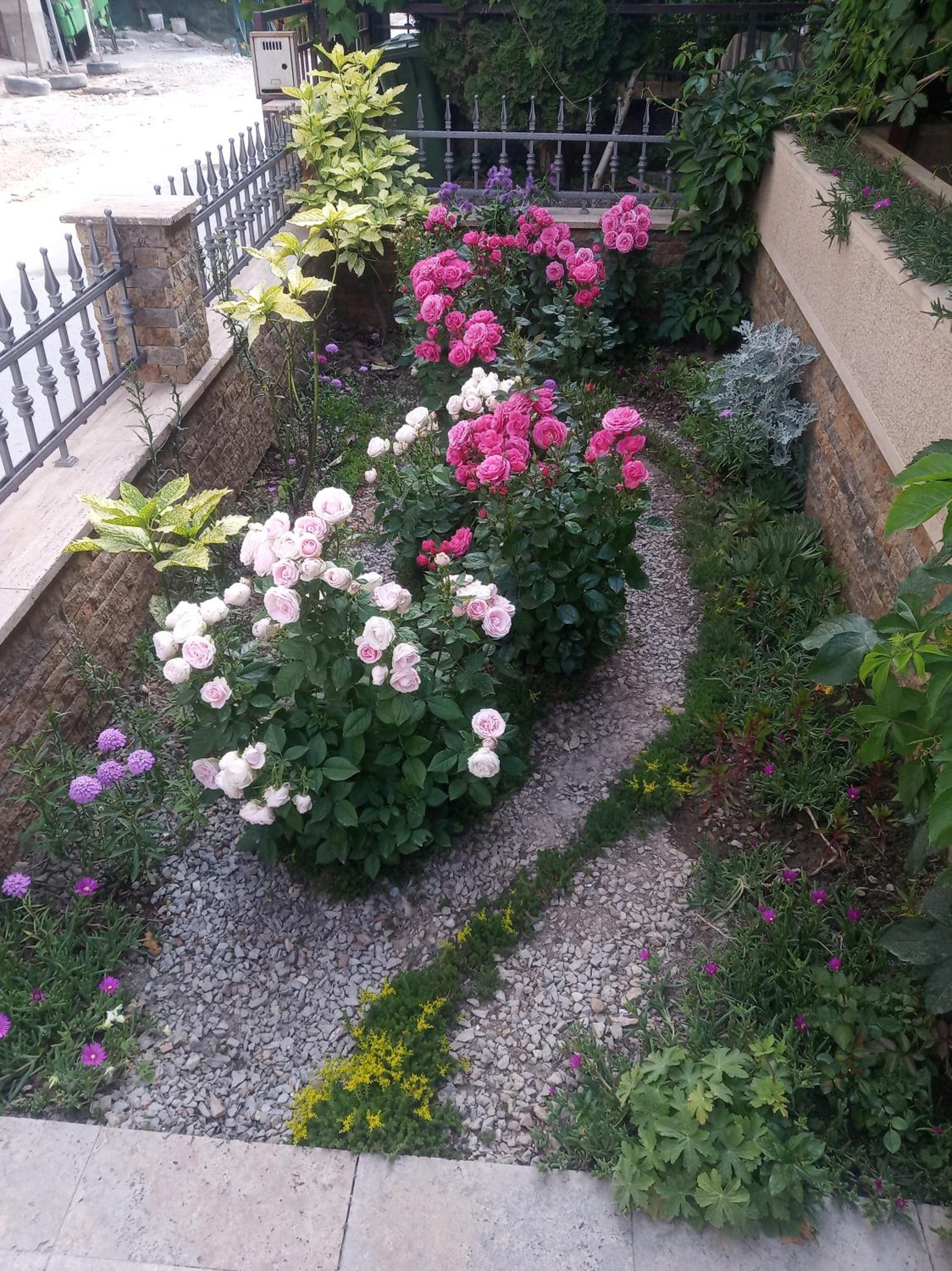 Photo 21