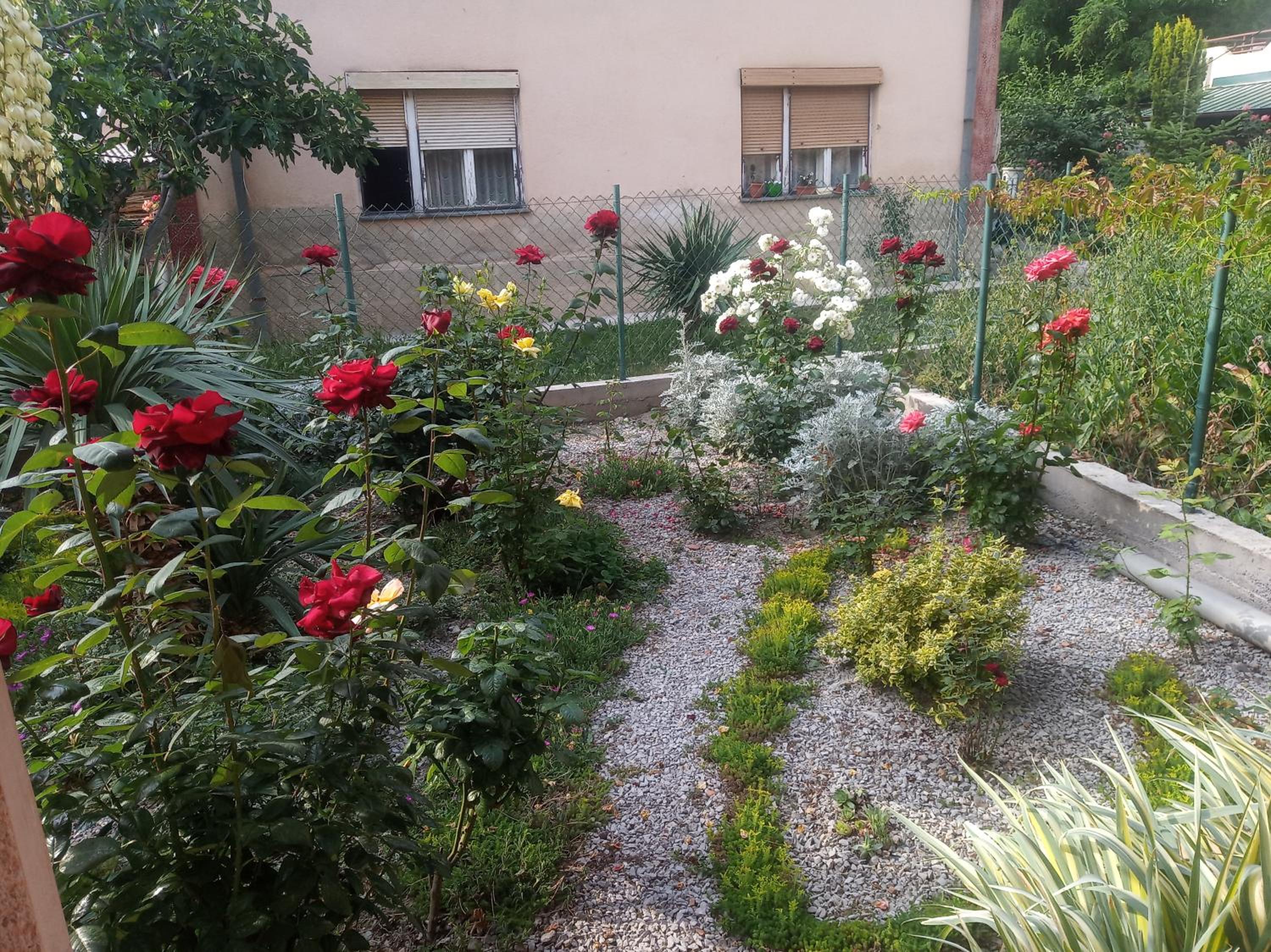 Photo 6