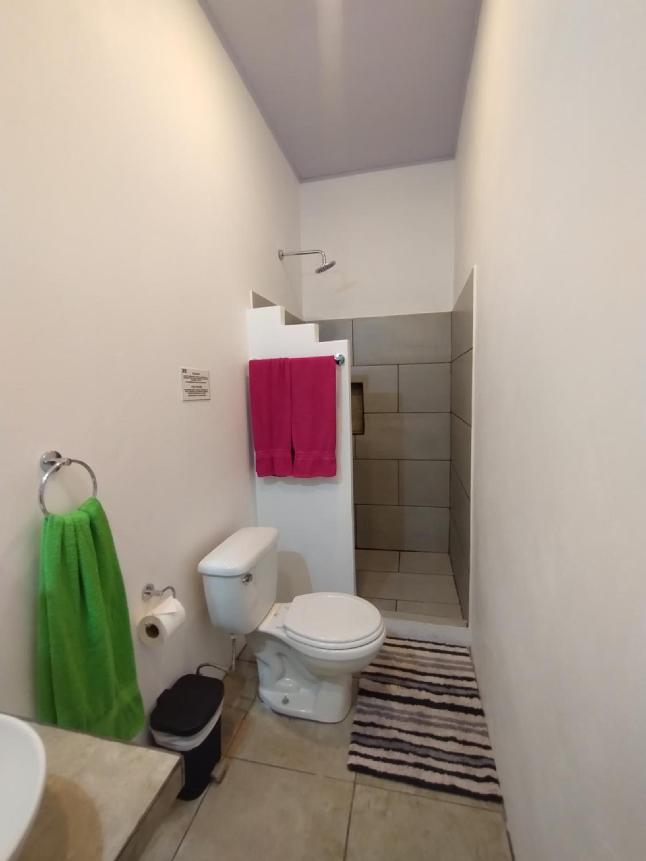 Casajungla Hostel