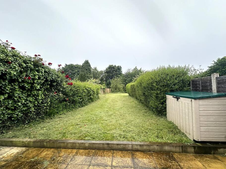 Photo 25