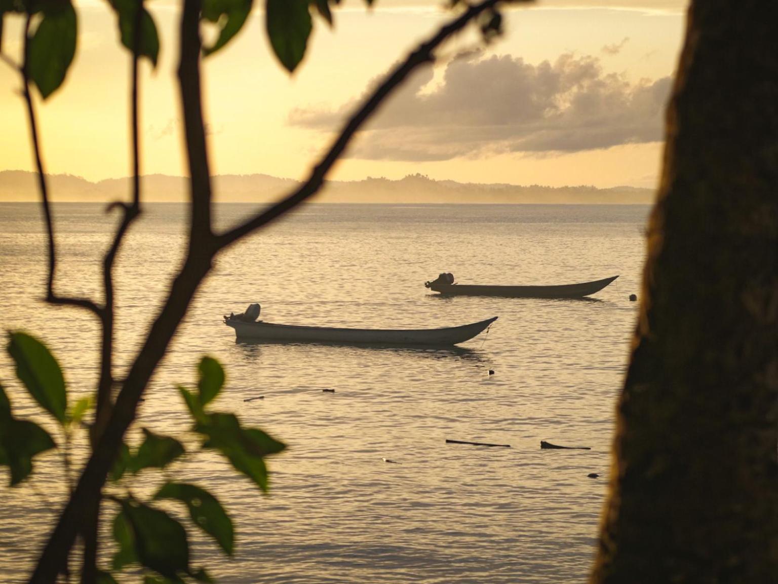 Carve Bay Mentawai view 5