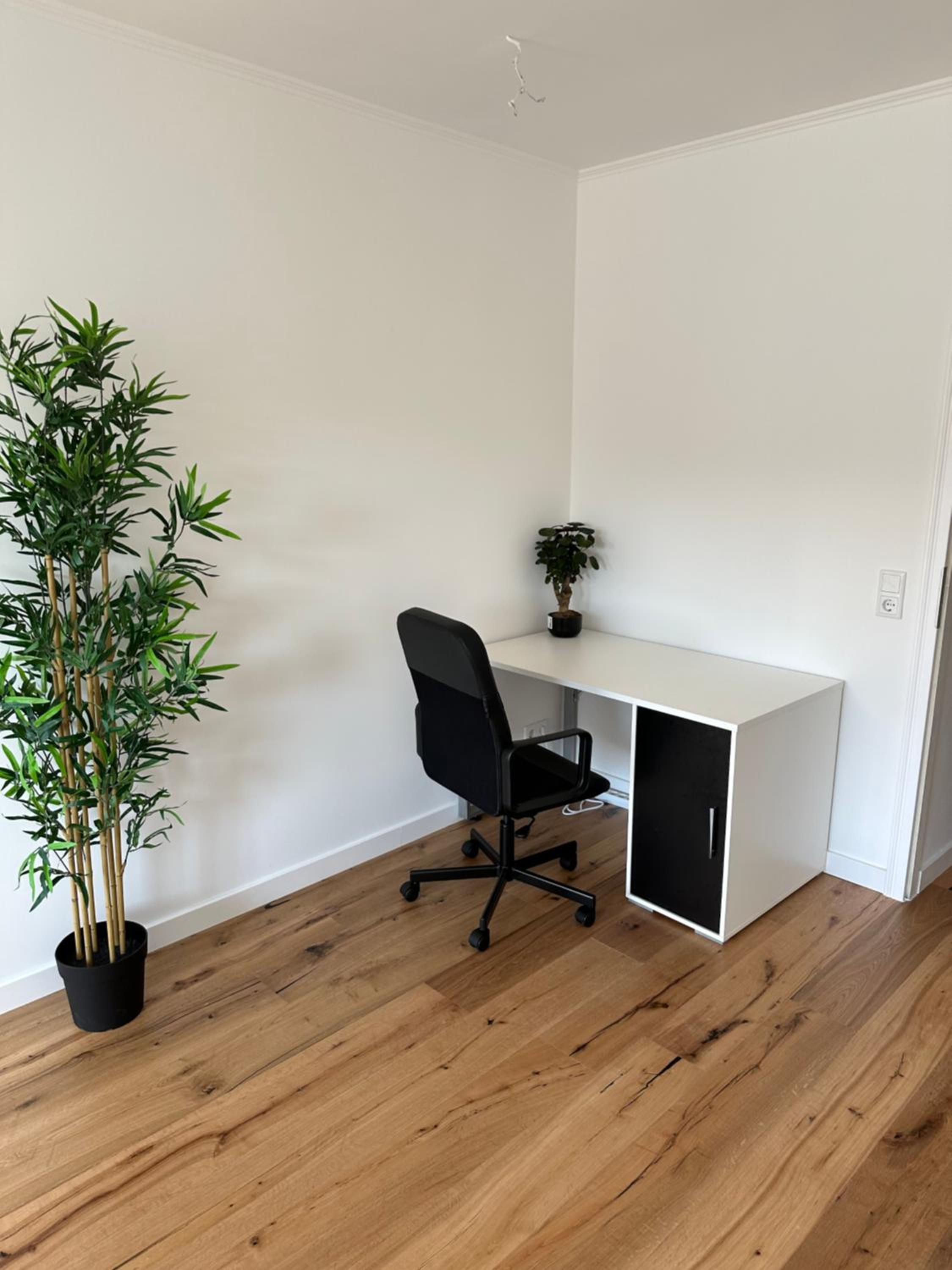 Newly renovated apartment in ideal location