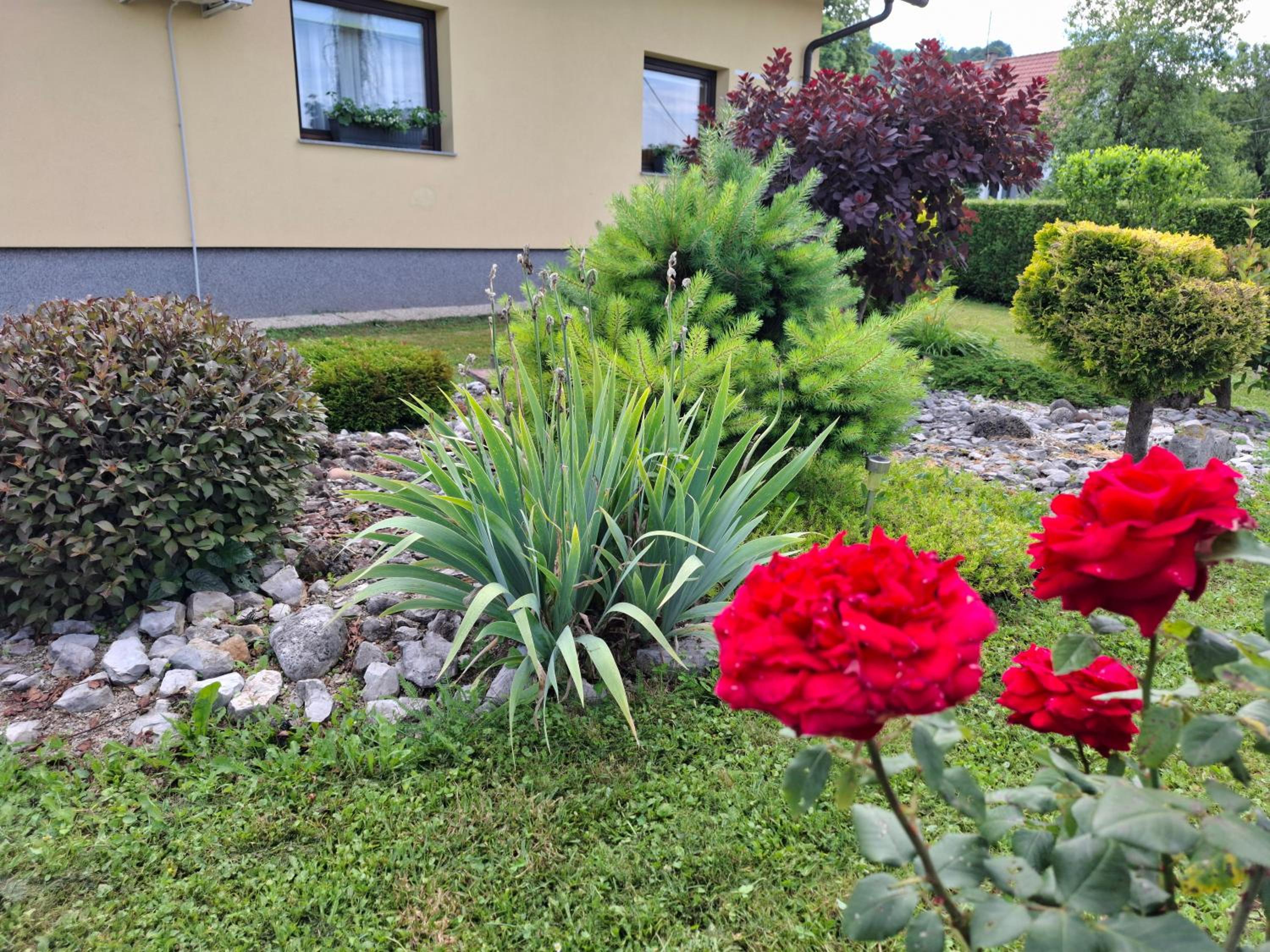 Photo 26