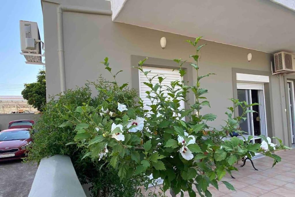 Ilisia Neapoli apartments 1 - Property Image 28