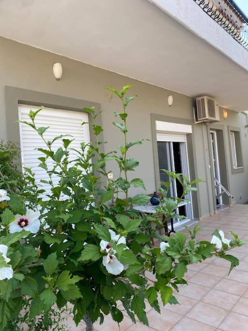 Ilisia Neapoli apartments 1 - Property Image 23