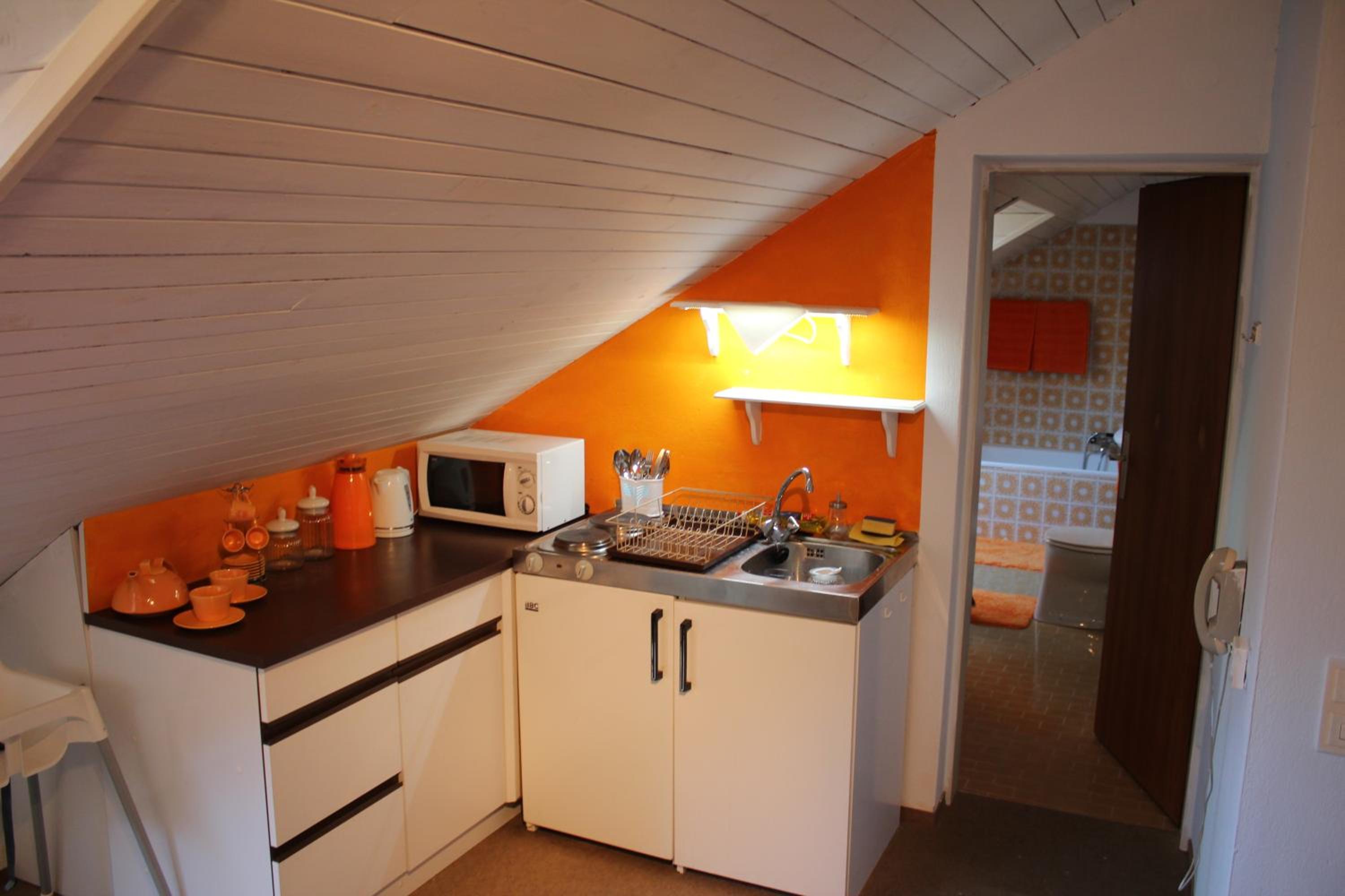 Mountain Apartment