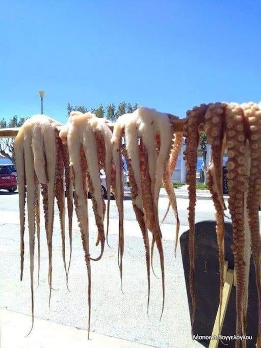 Ilisia Neapoli apartments 1 - Property Image 45