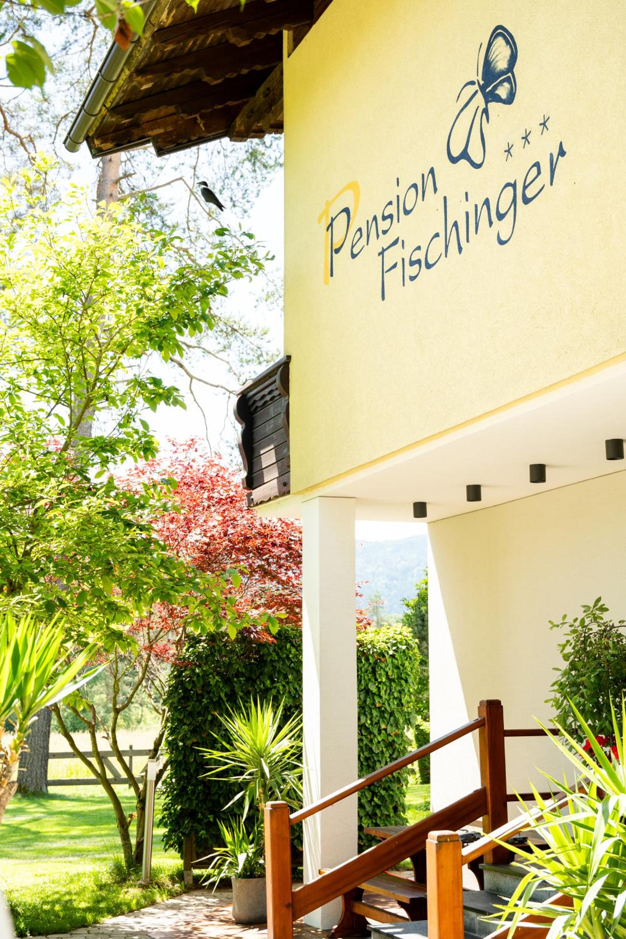 Pension Fischinger