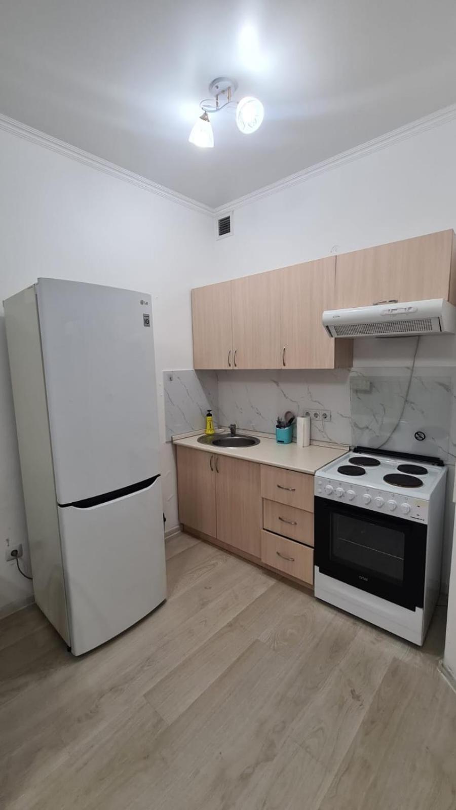 1 room apartment Gorky Park view 4