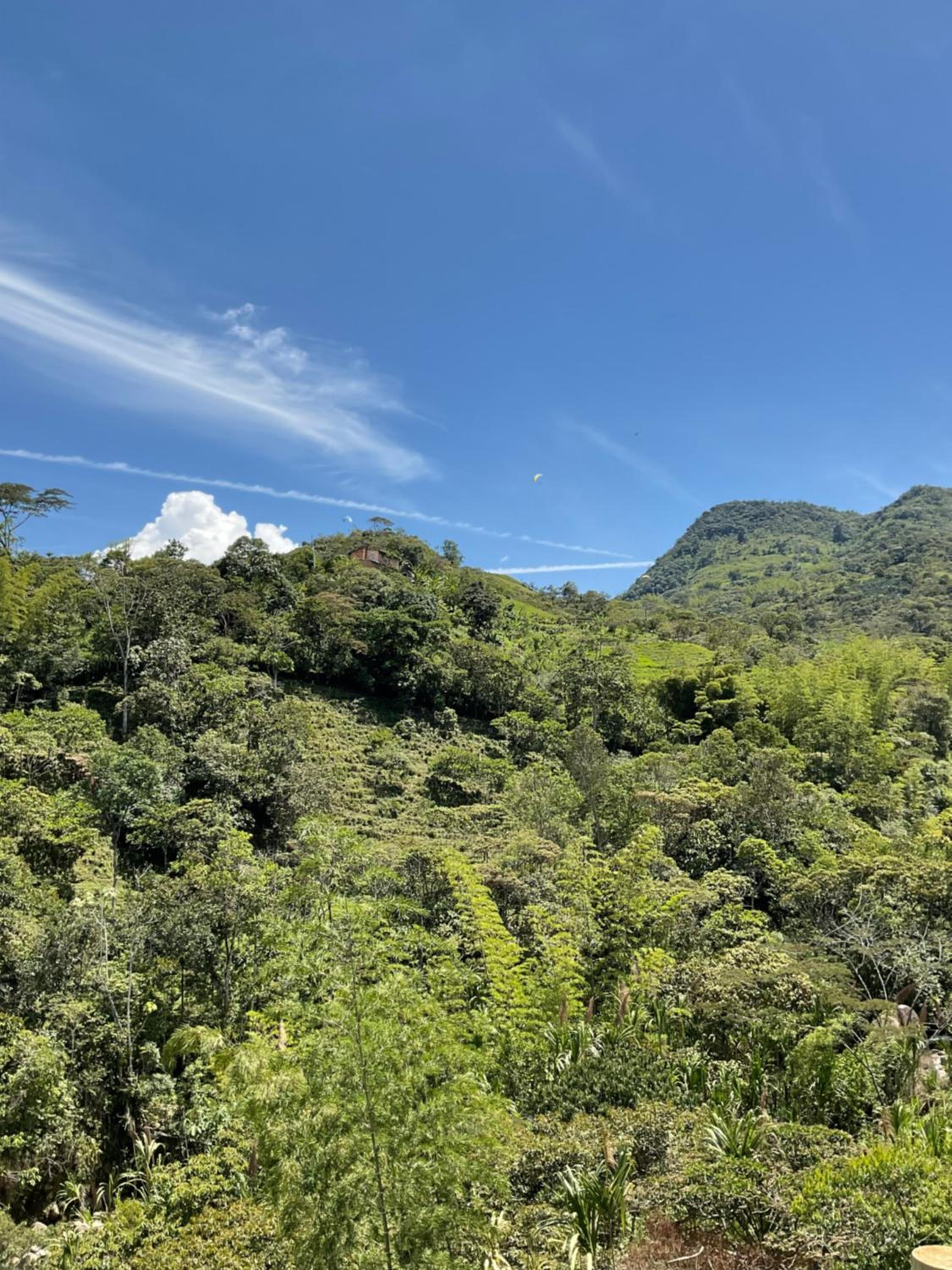 Cabañas Colibrí