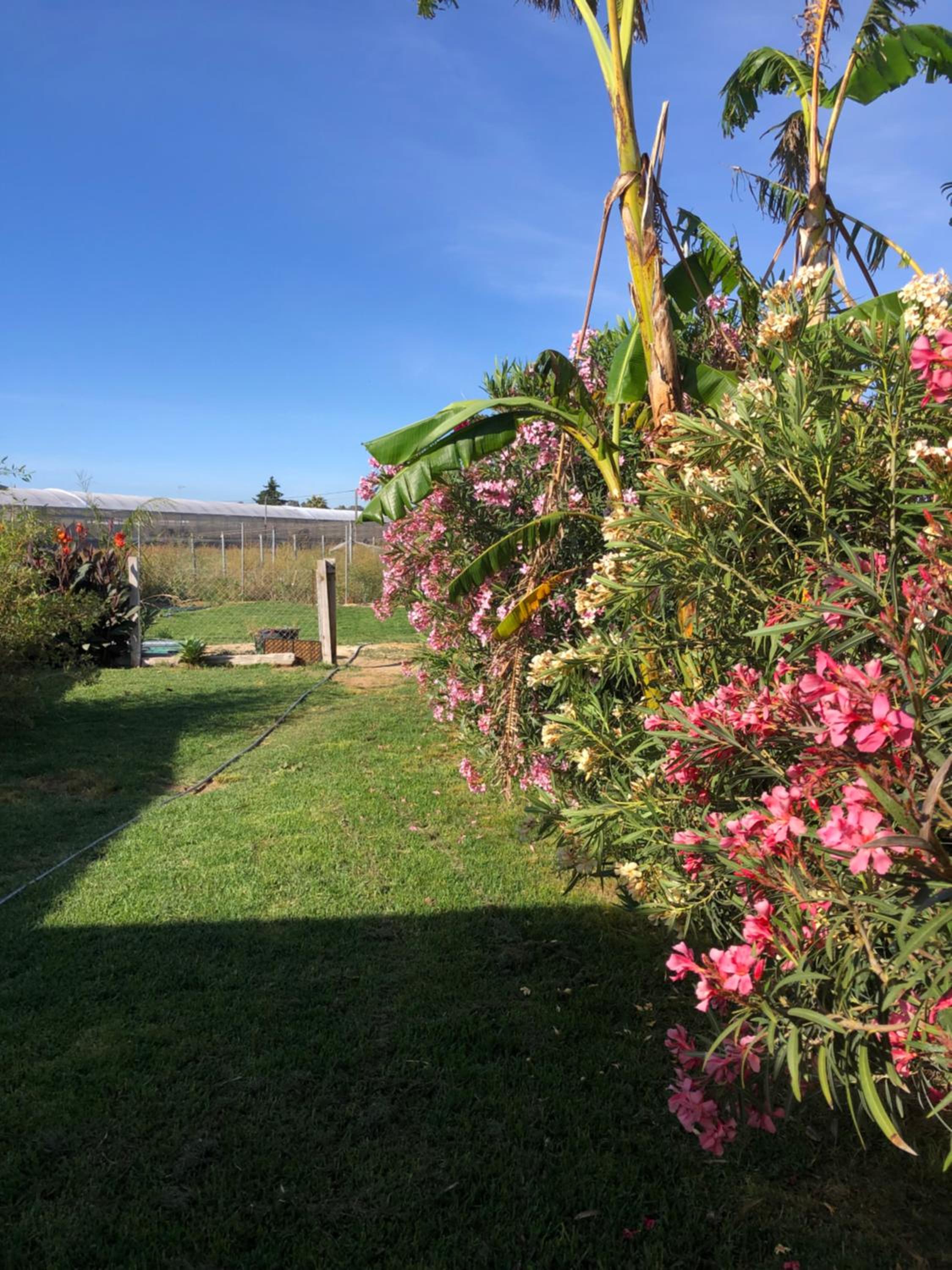 Casa Isabelina Stay near Doñana & the Coast