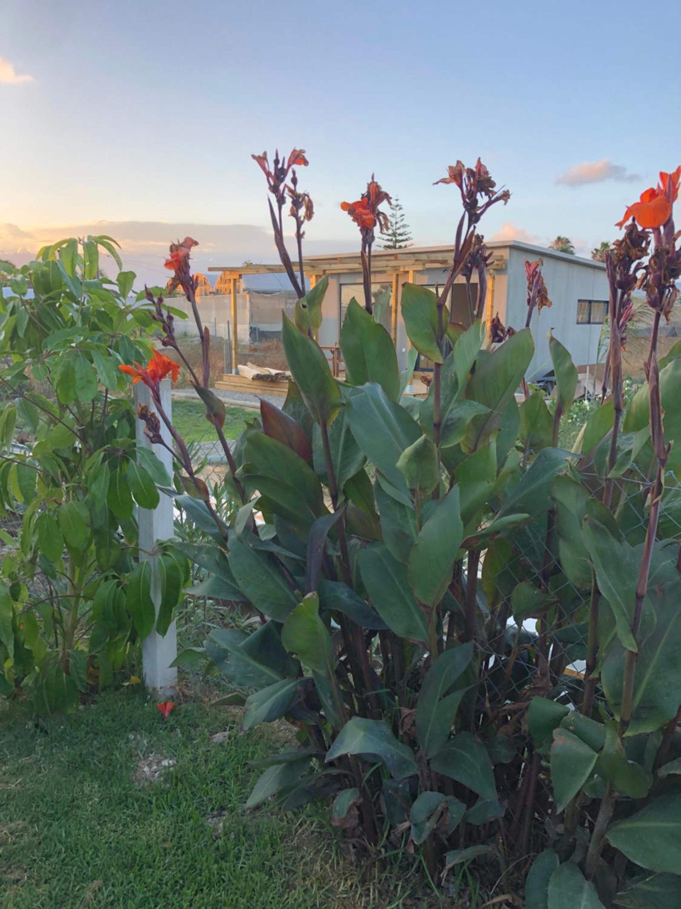 Casa Isabelina Stay near Doñana & the Coast