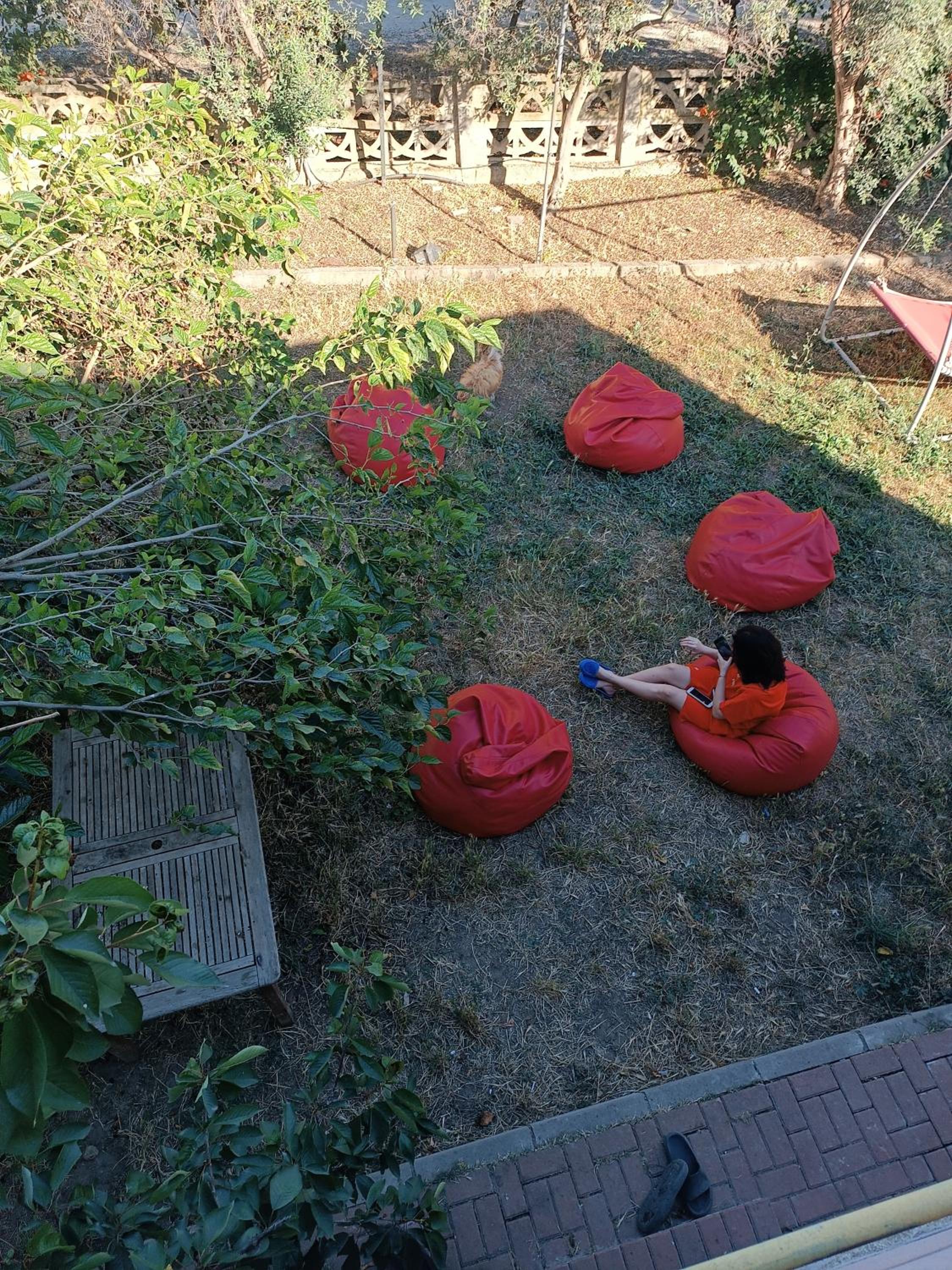 Photo 17