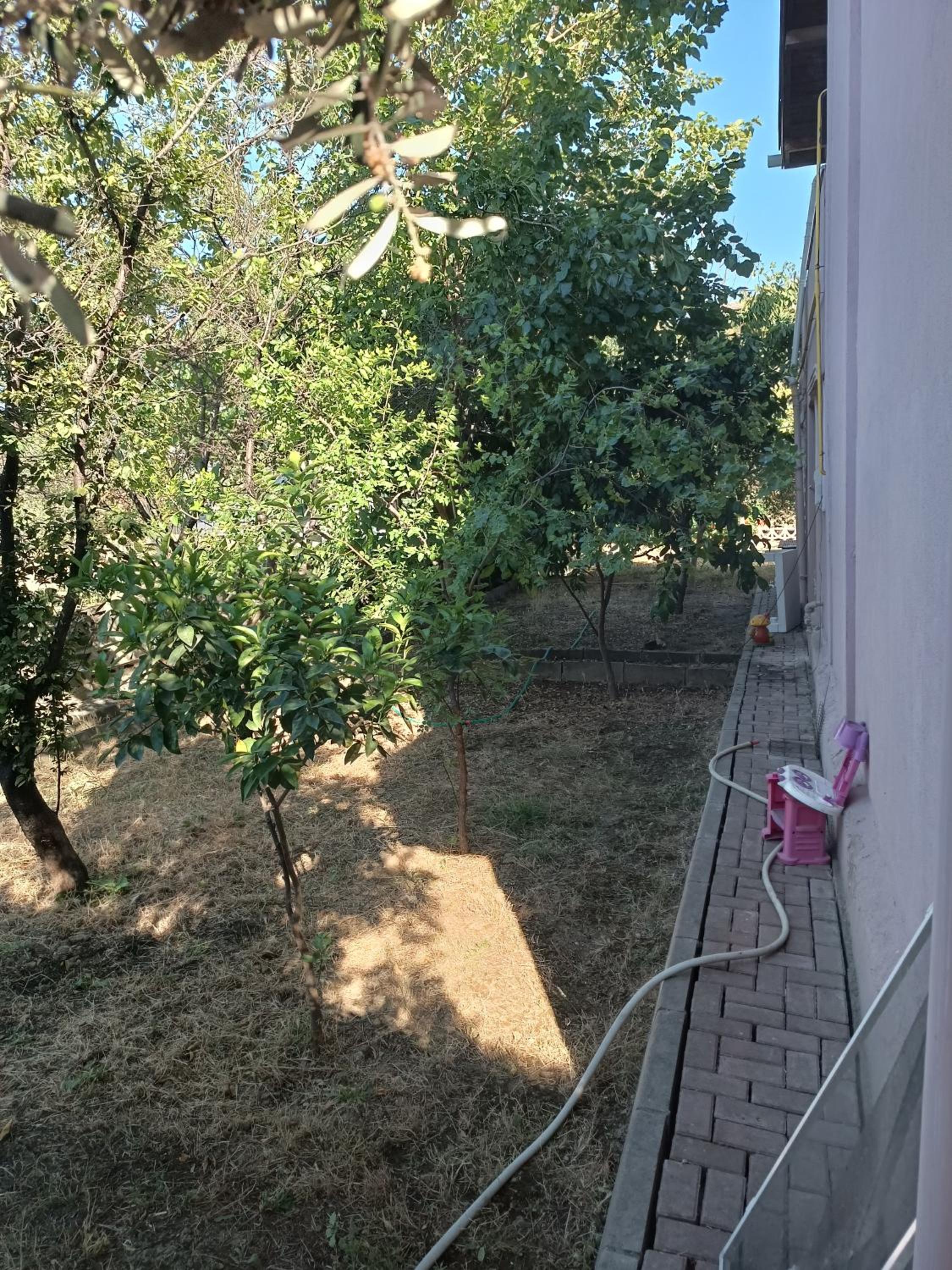 Photo 35