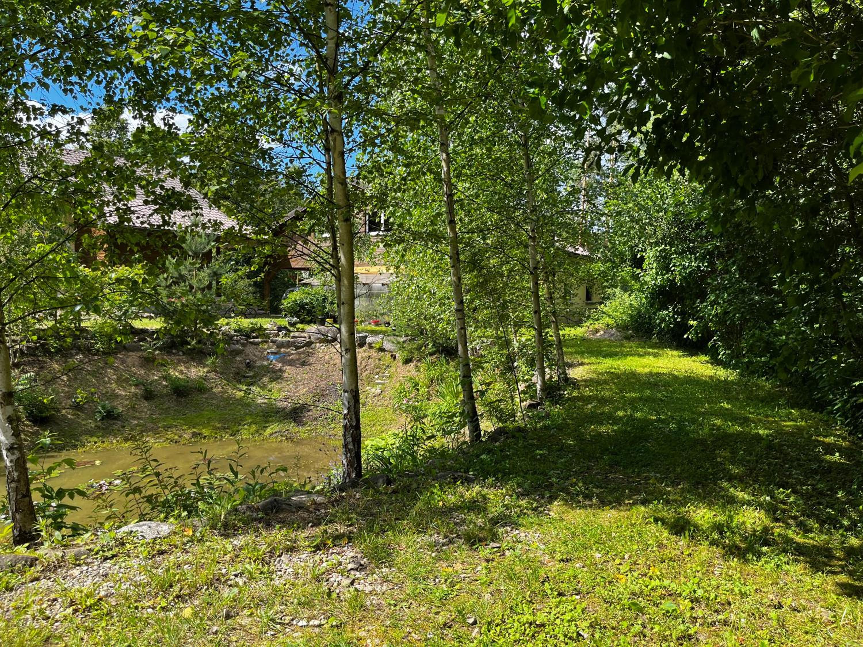 Photo 15