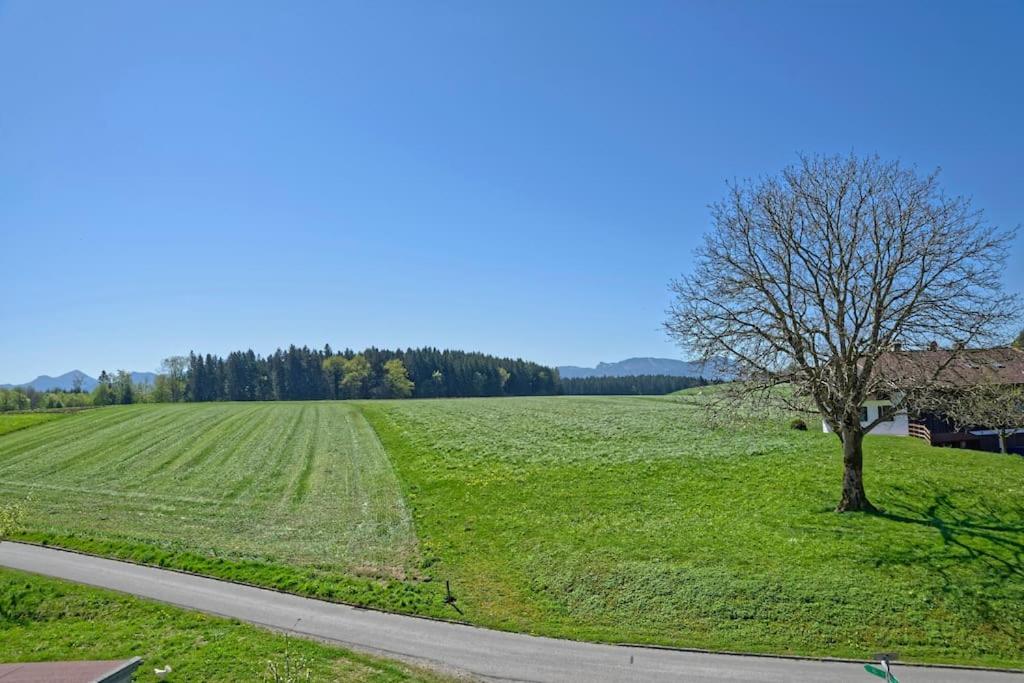 Ferienwohnung Kuhnlein