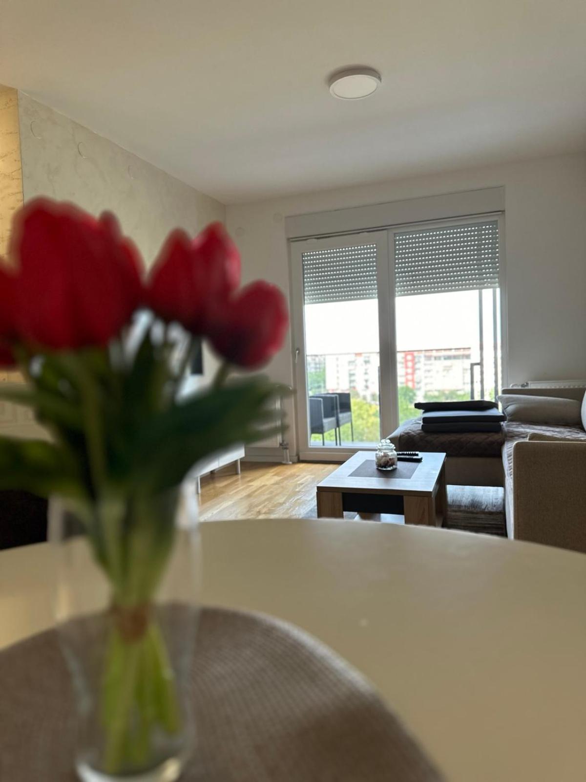 PARK NOVI Apartmani