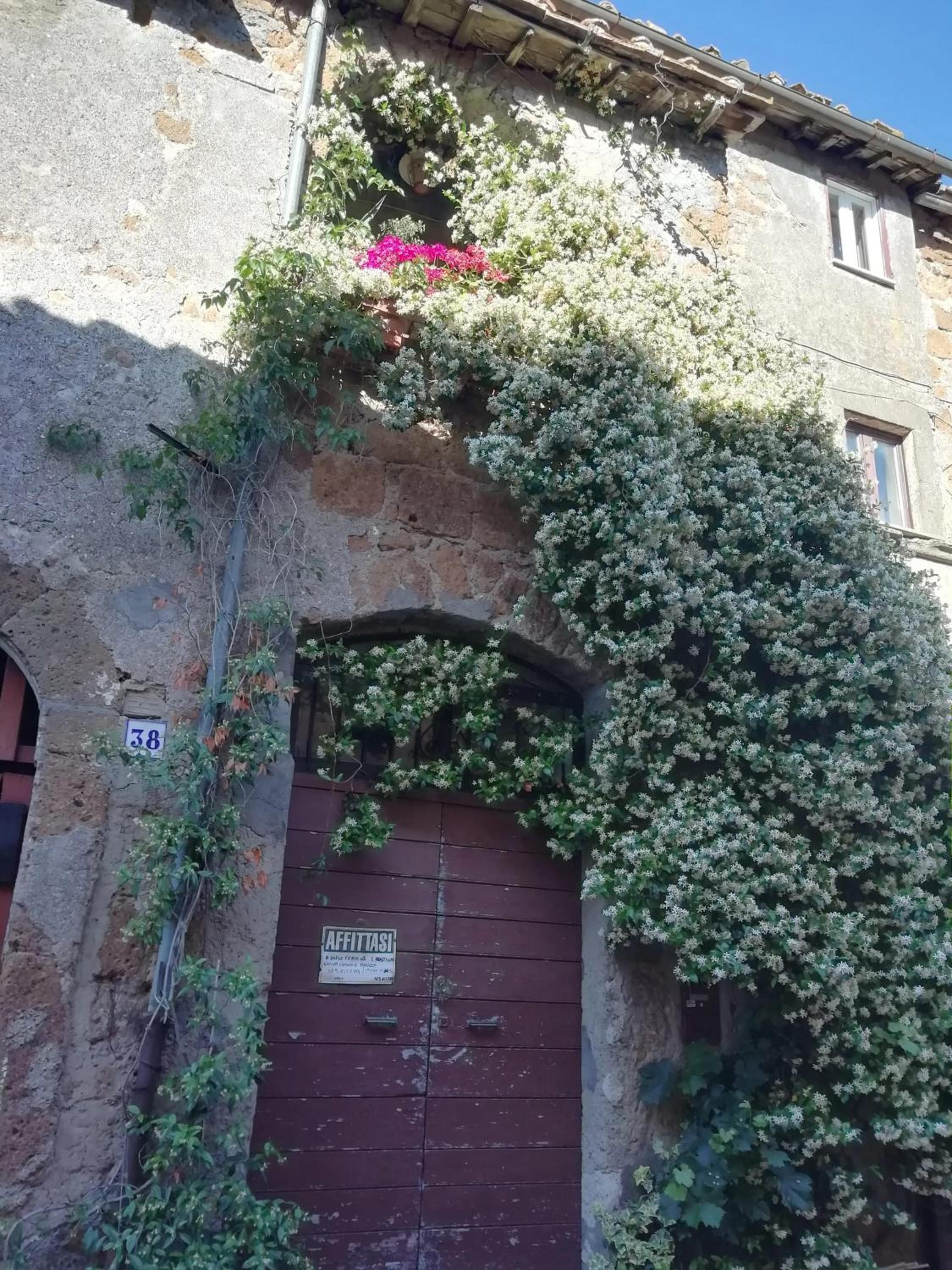 Charming House in Barbarano Romano with Terrace and Fireplace view 3