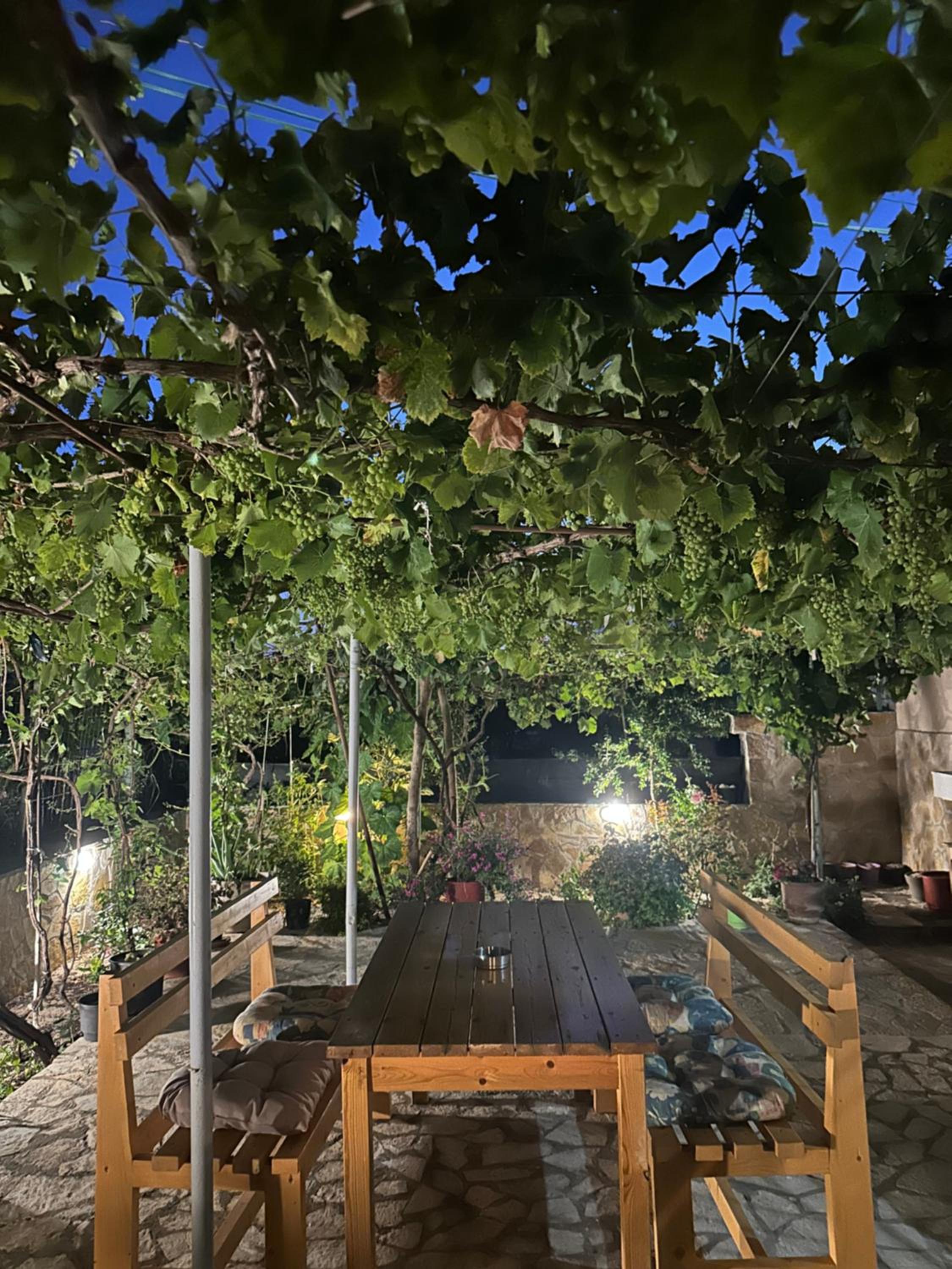 Vila Rapo