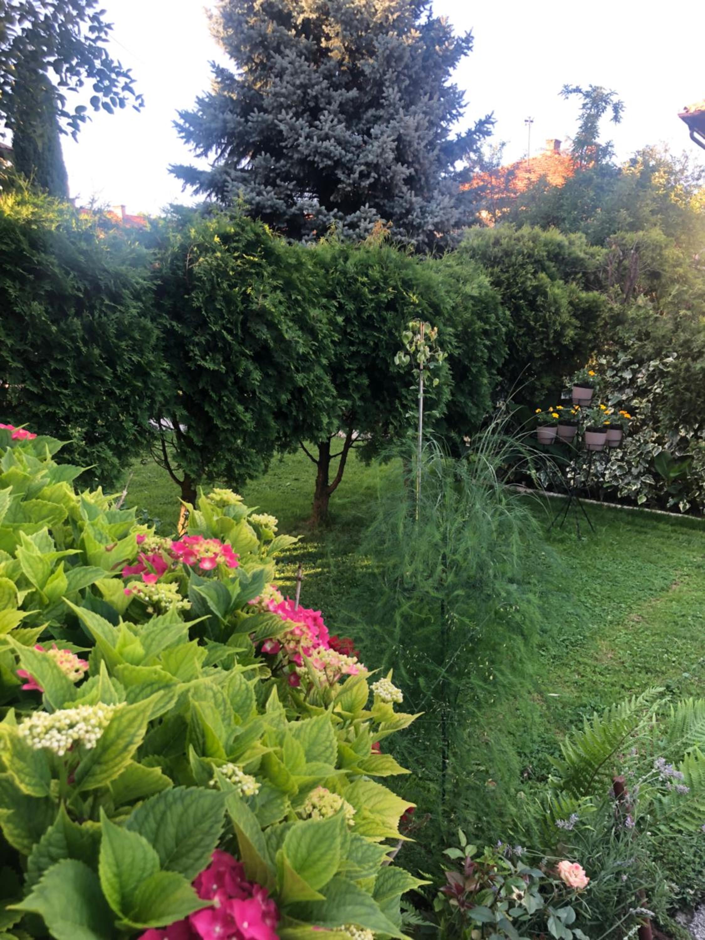 Apartman Balkan, photo 2