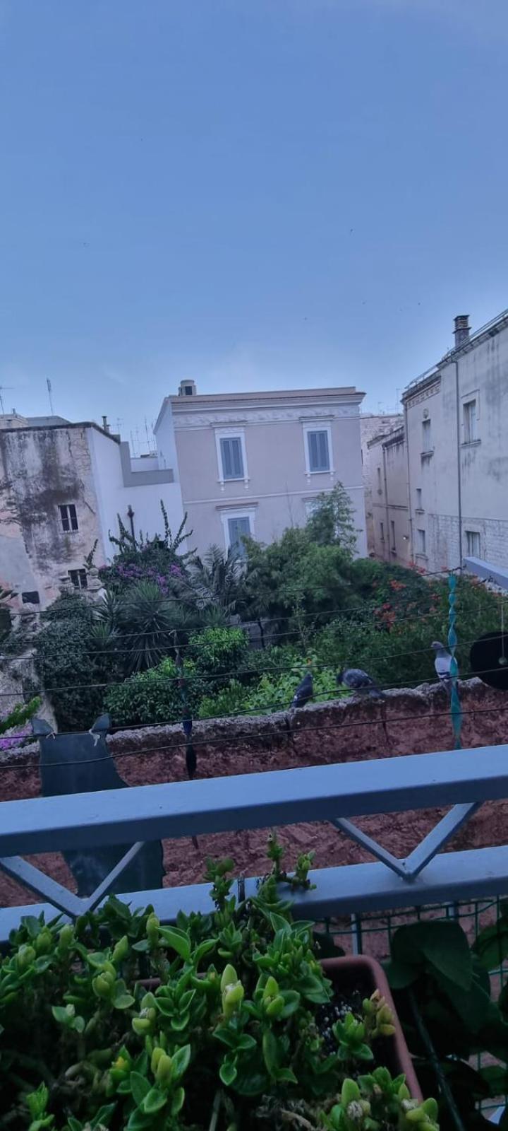 Enza Domus