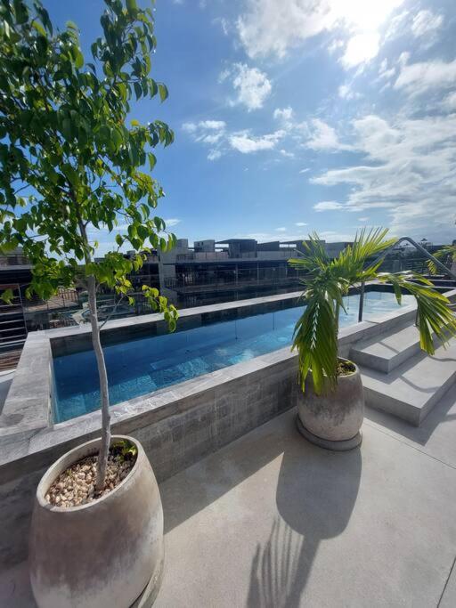 XALET Tulum Luxury Residences