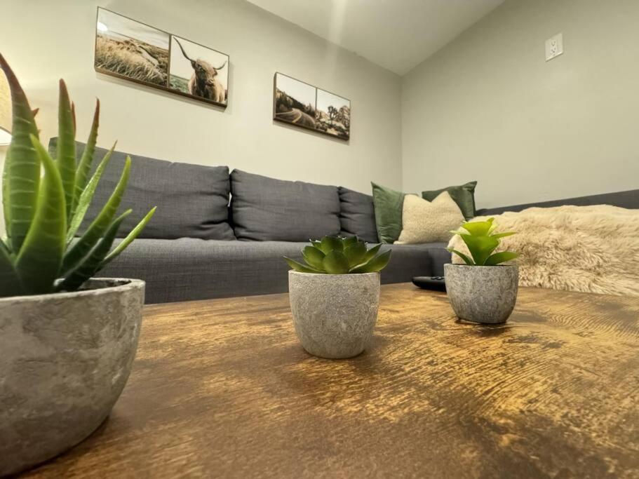Cosy Guest Suite Near Shops, Transit, Hwy and GO!