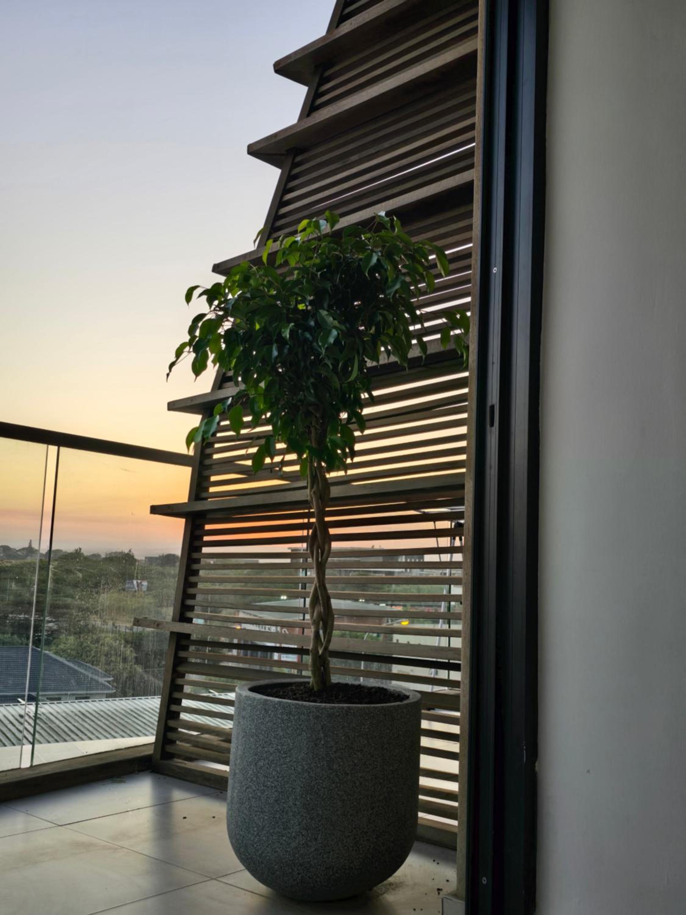 Hotel 216-Koi living Ballito - Image 1