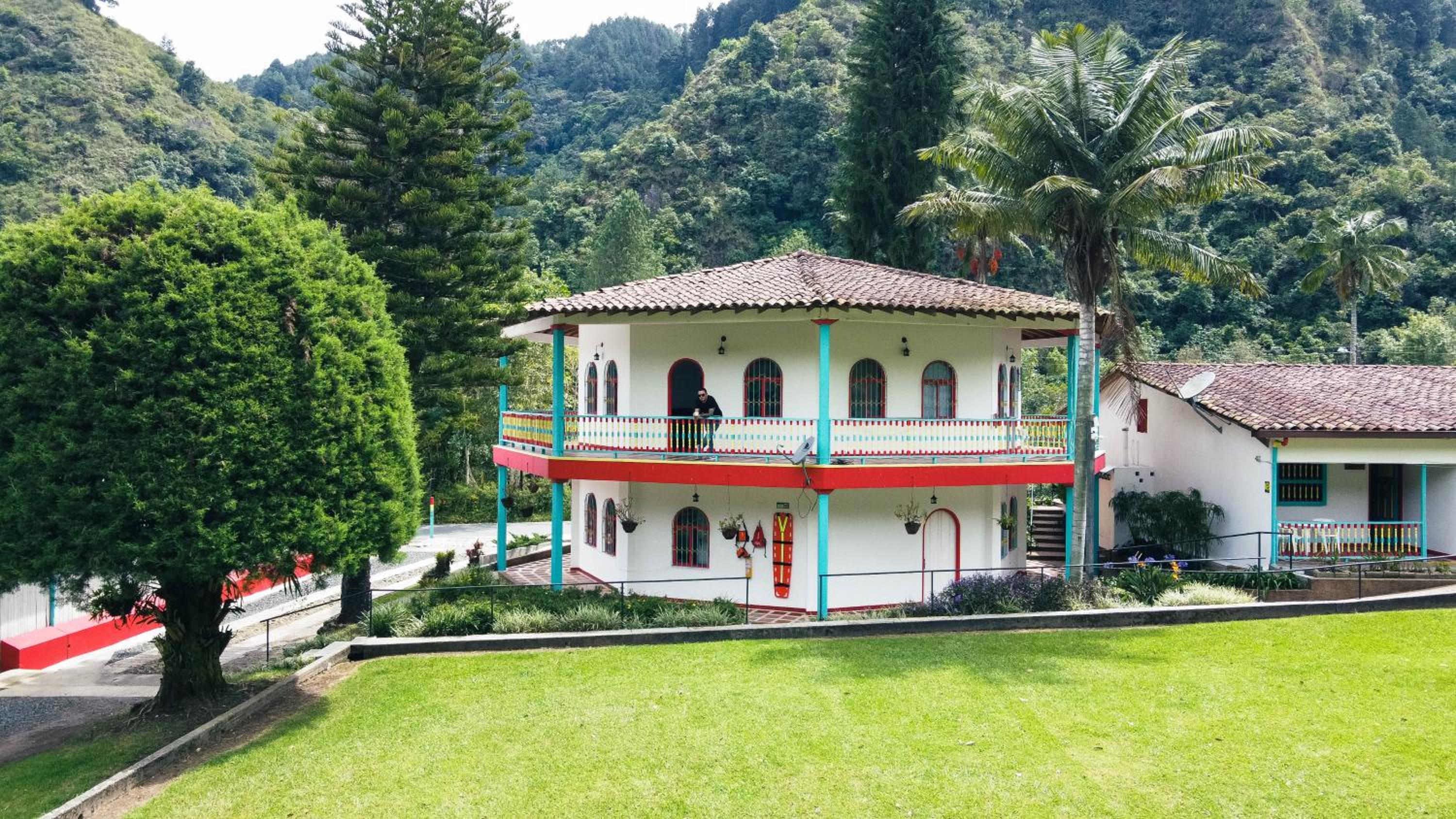 Dreamer Cocora