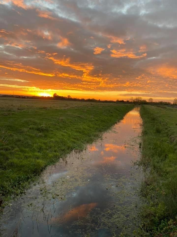 Whitstable serenity