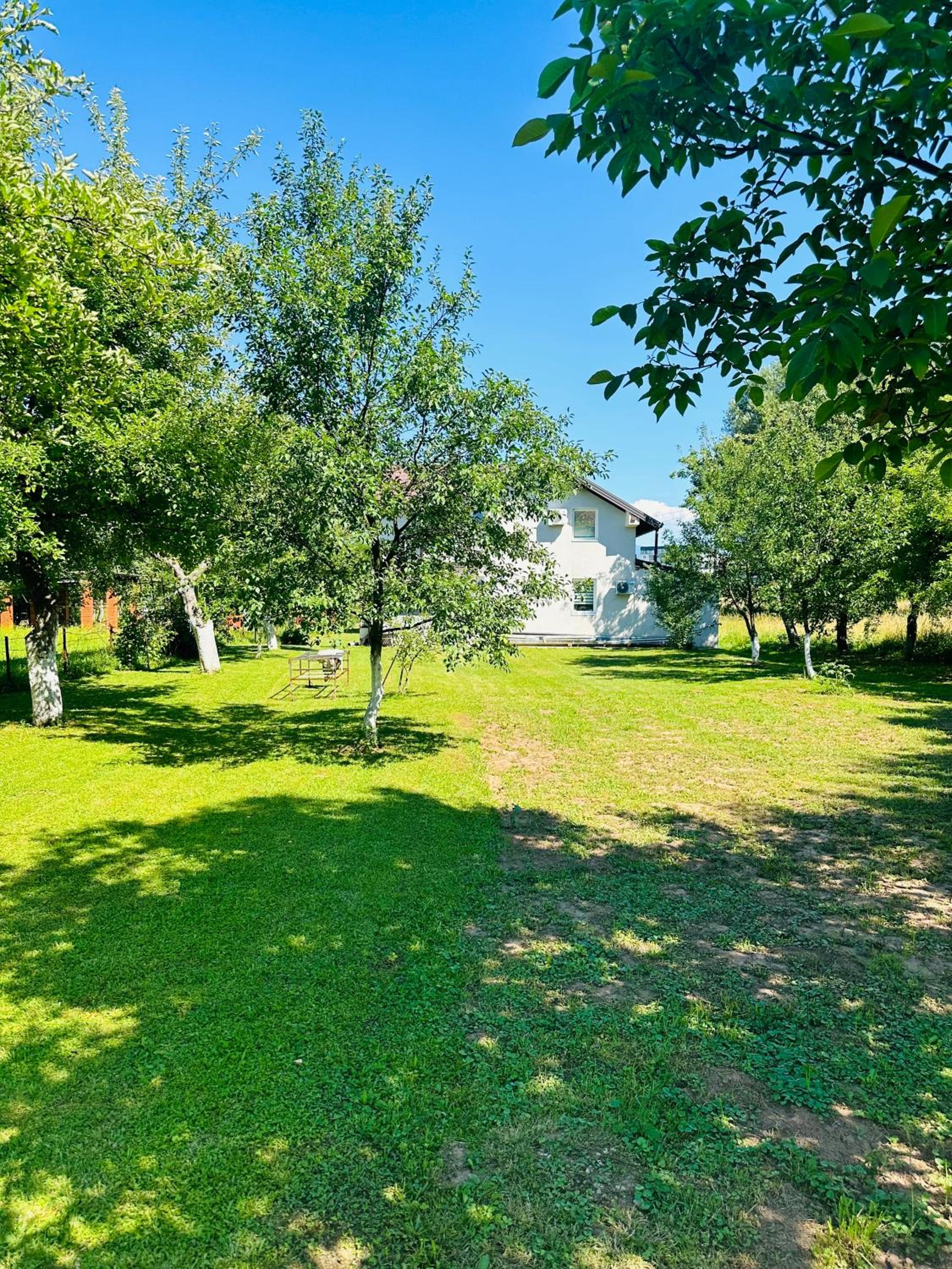 Dzeki, House Ilidza