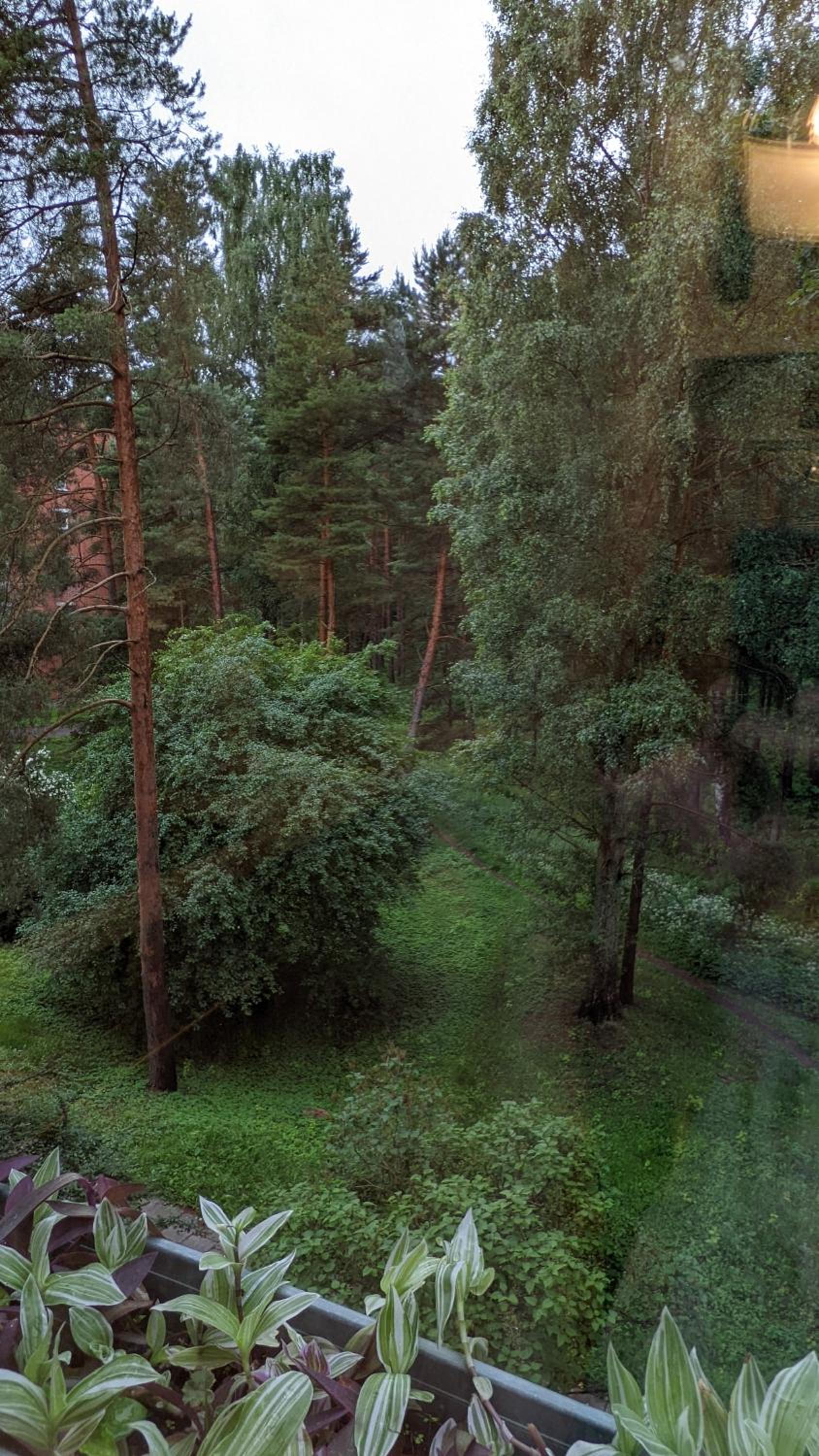 Apartment in a quiet area, near the sea and forest